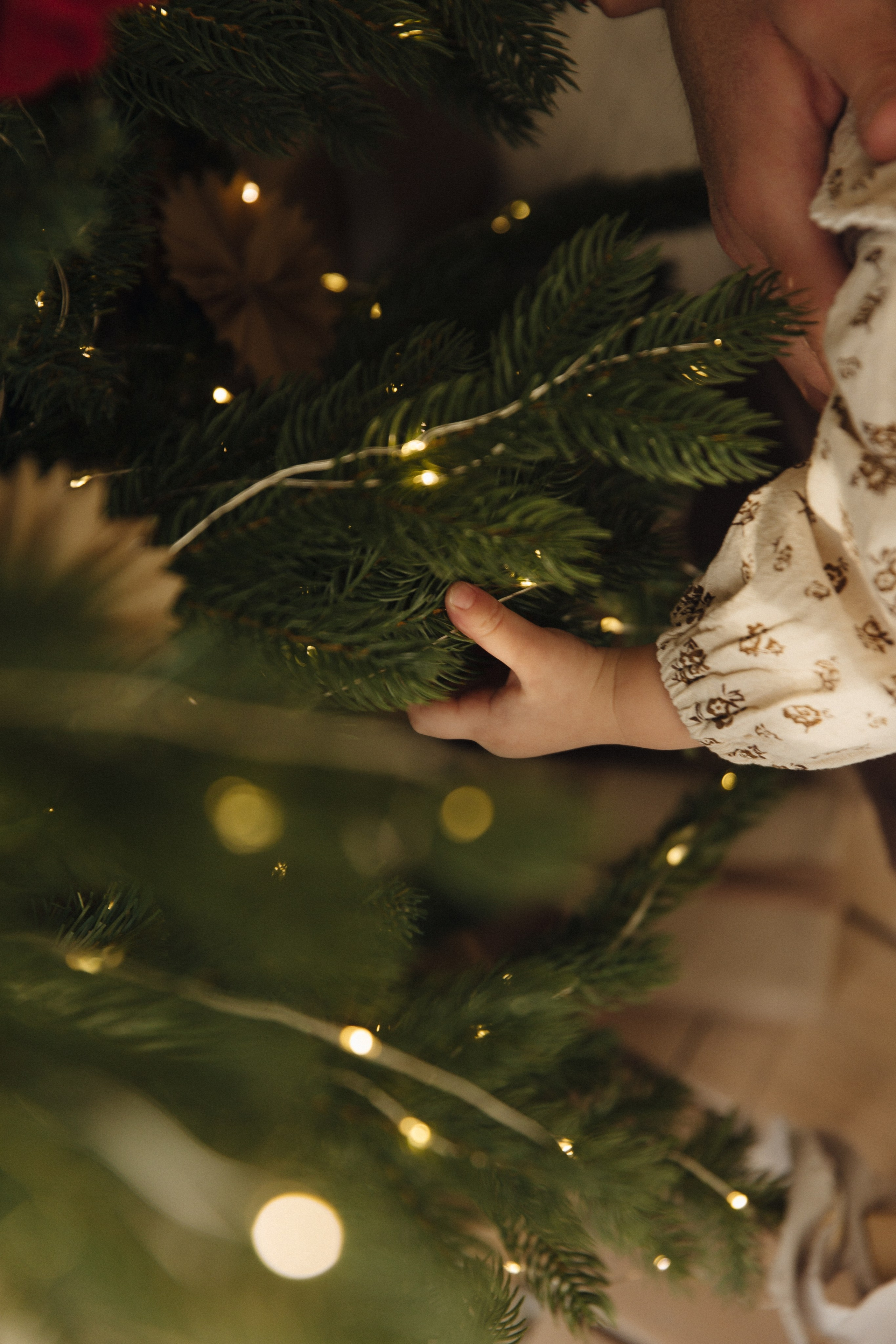 Солнышко. Свадебный фотограф в Красноярске Абраменко Настя