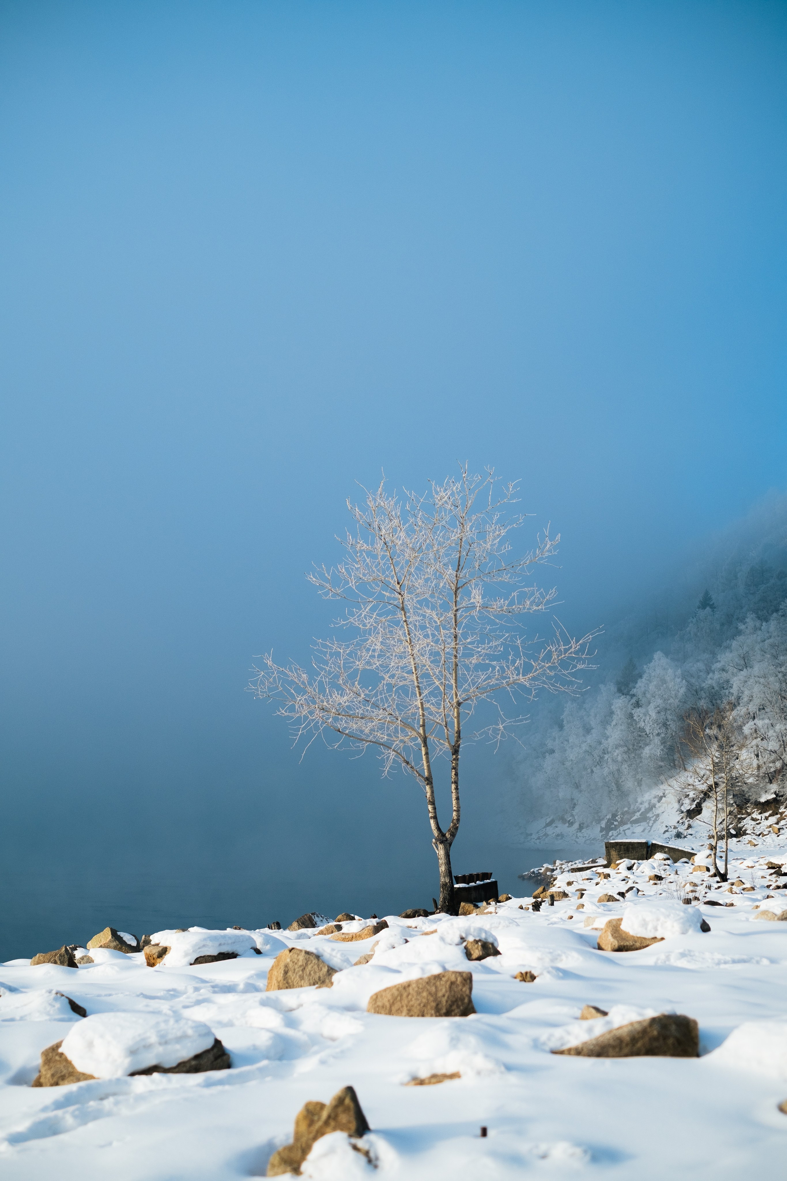 Курактачи. Фотограф Благовещенска Яна