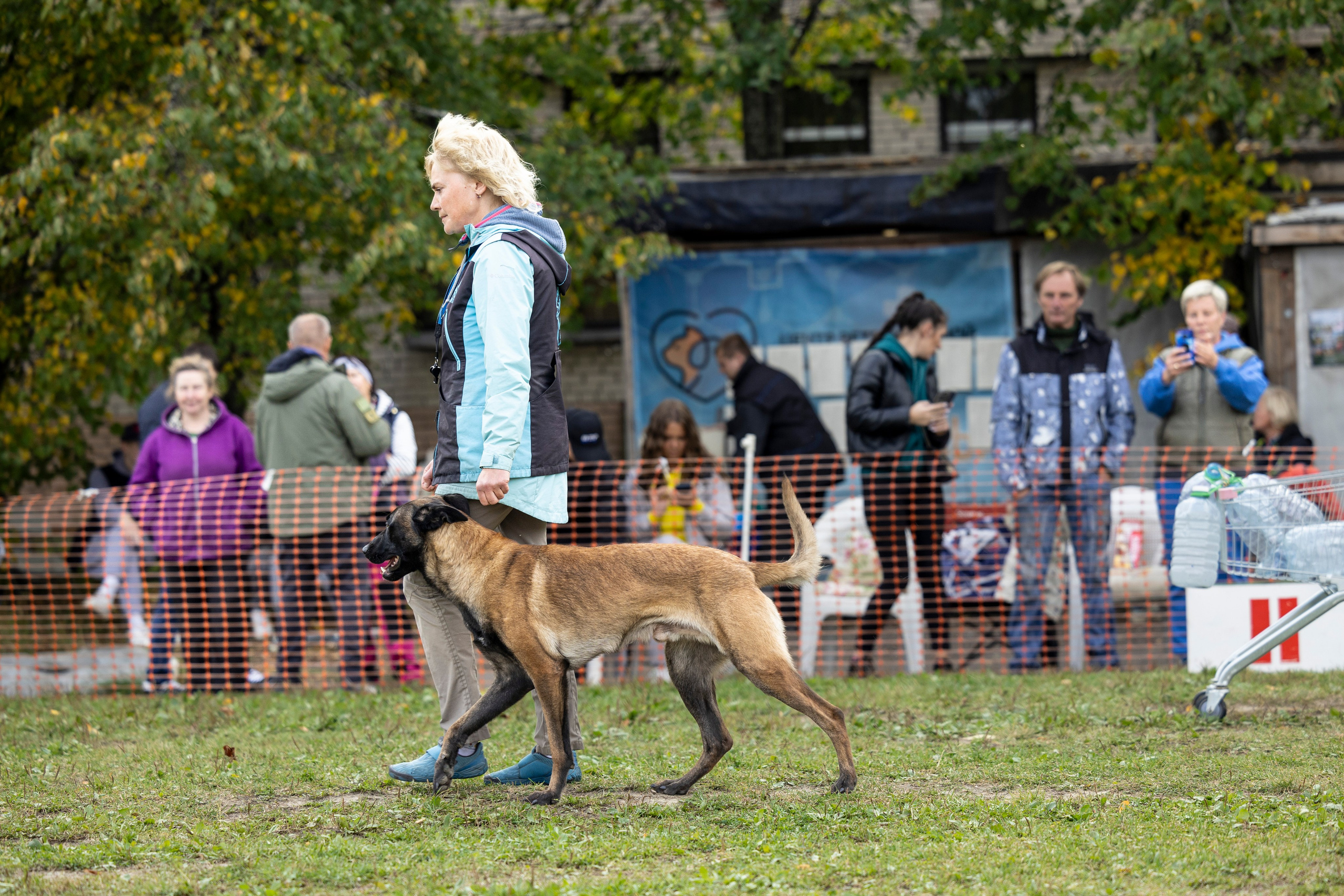 Испытания по Мондьорингу г. Пушкин. Фотограф-анималист Анна Маринич