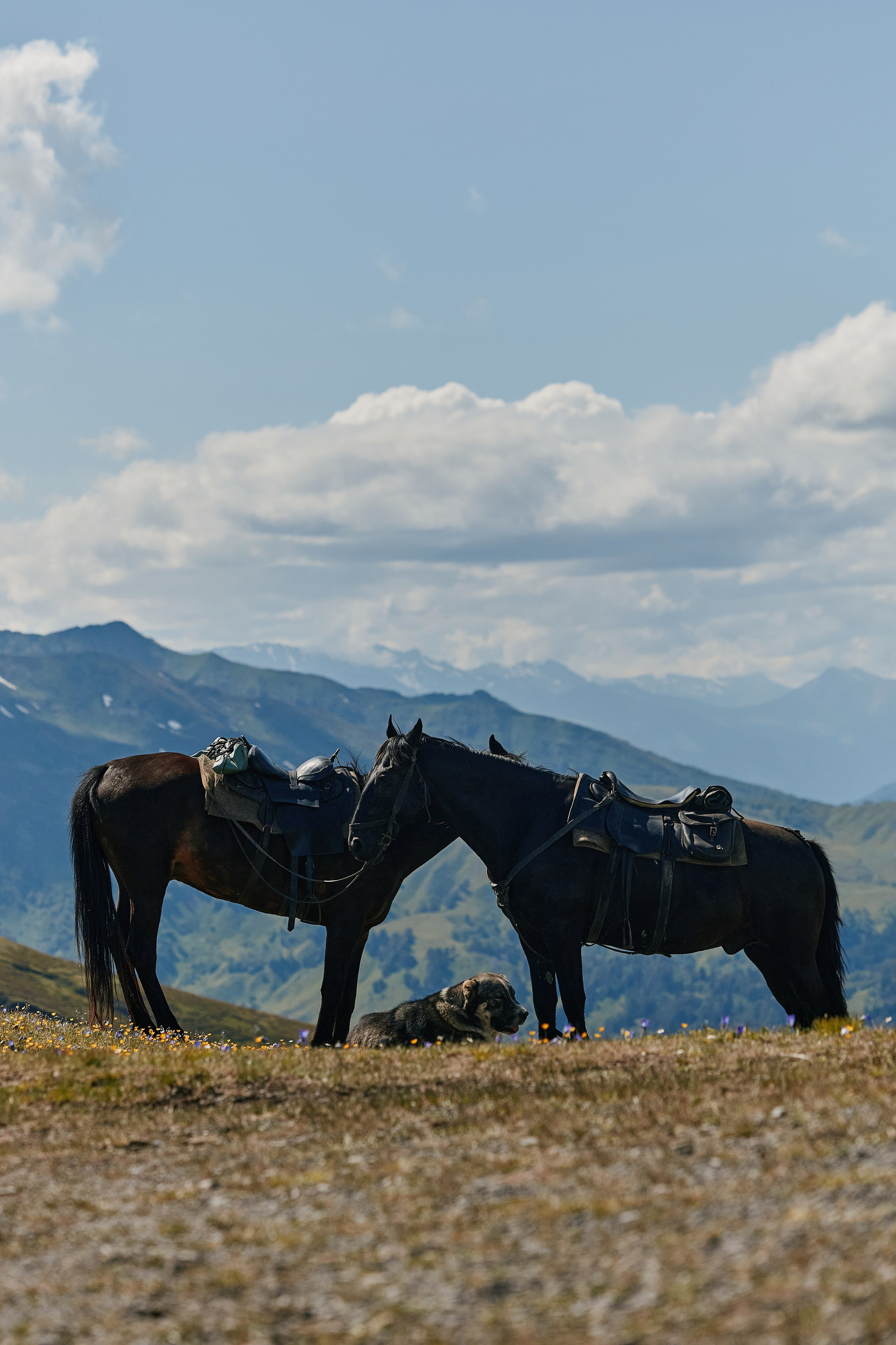 PRIVATE Arkhyz 22.06. Свадебный репортажный фотограф краснодар максим дремов дрёмов фотосессия студия цена