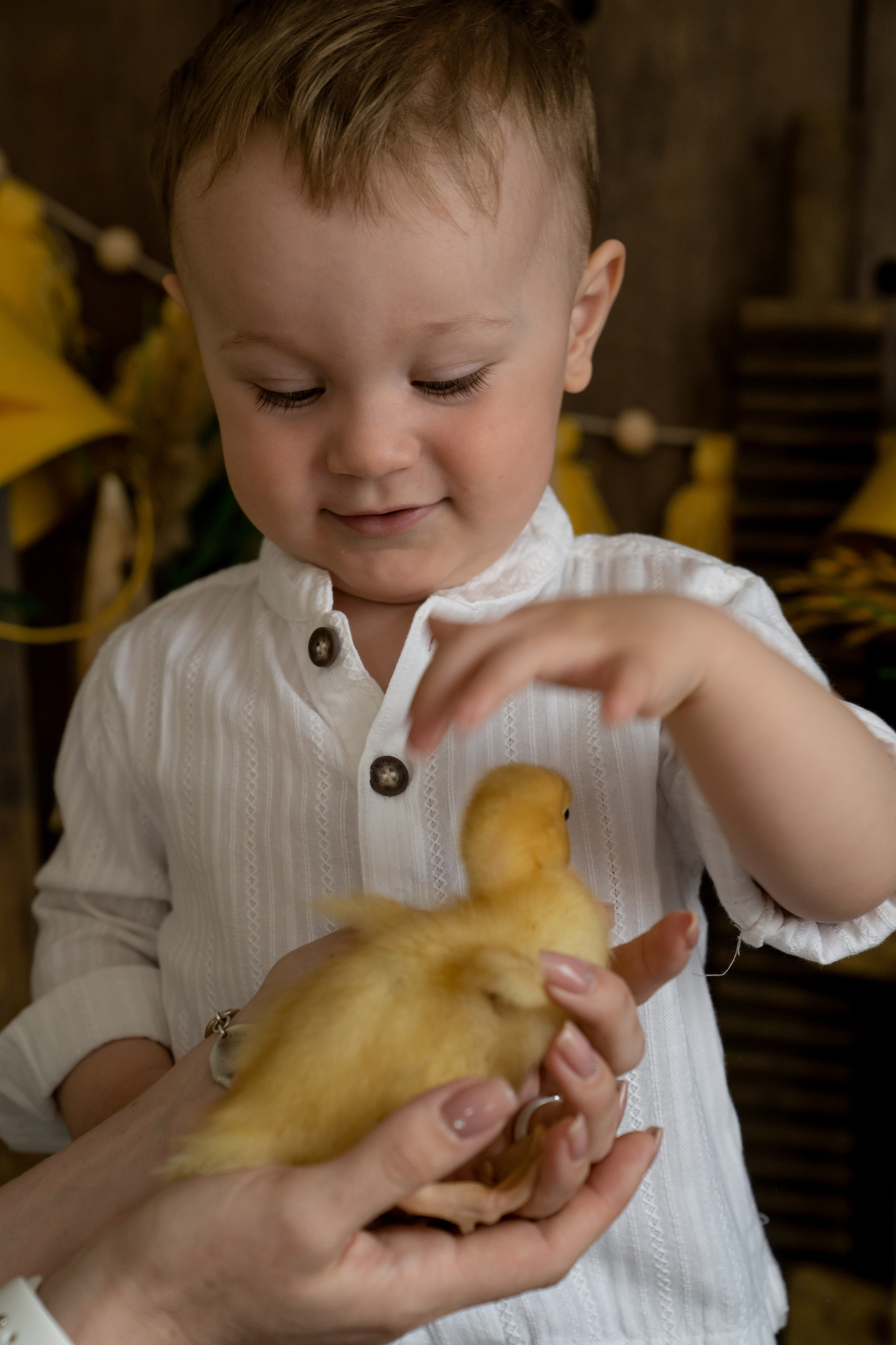 Фотопроект УТЯТА. Фотограф новорожденных, детей до года и беременных в Симферополе