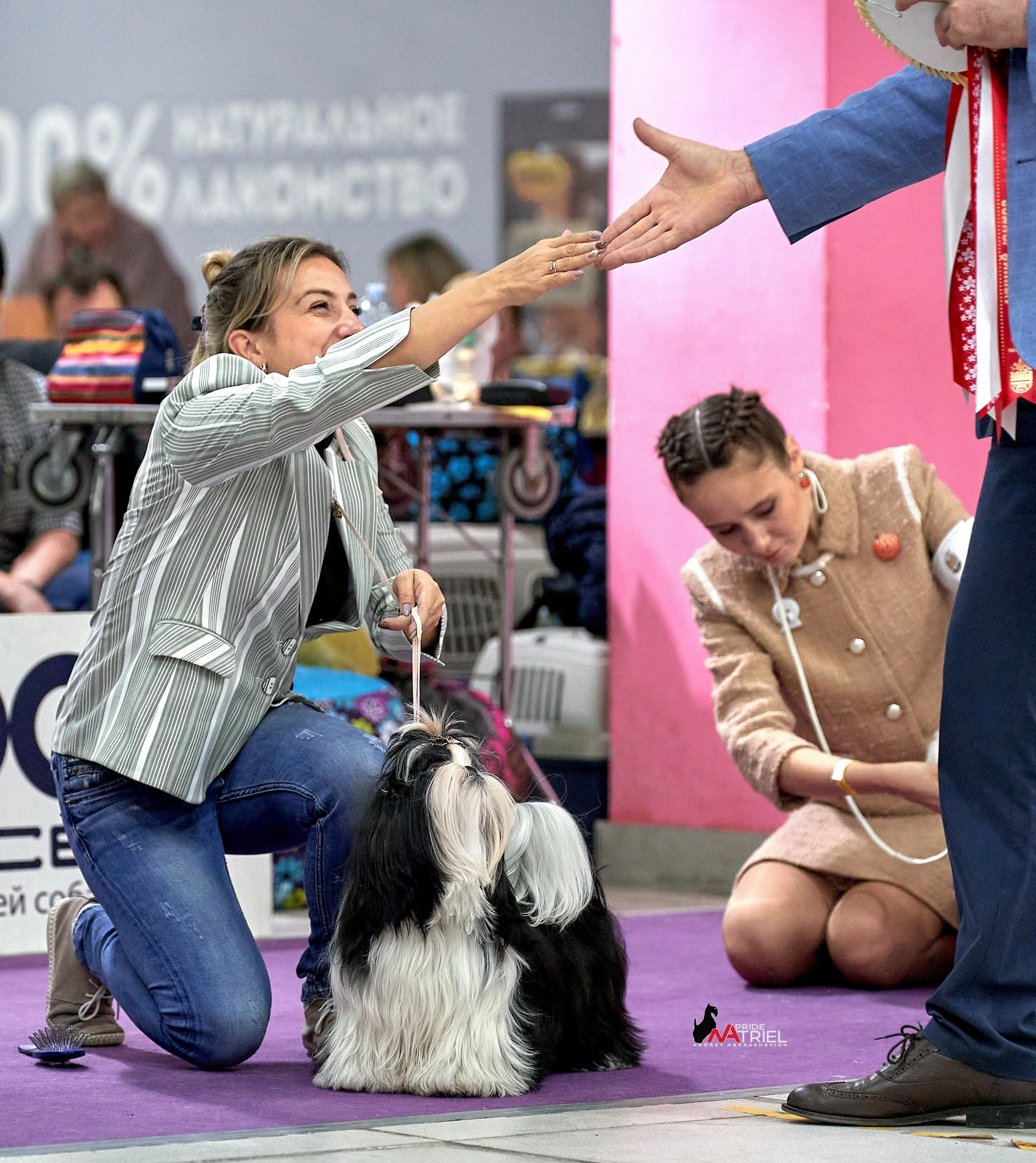 Призовые места — галерея NATRIEL