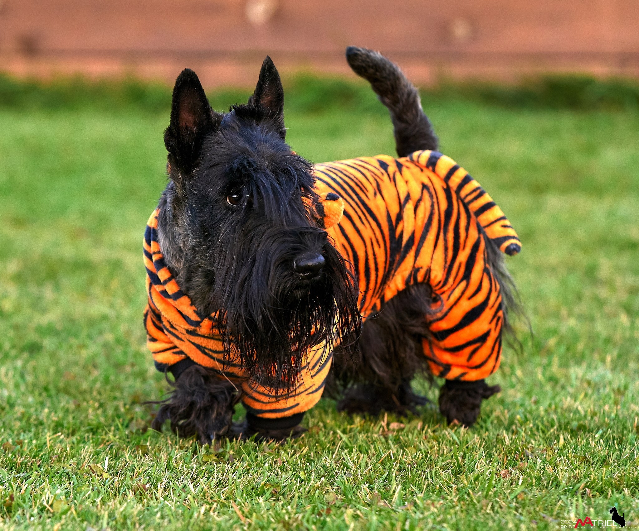 Репортаж со встречи питомника