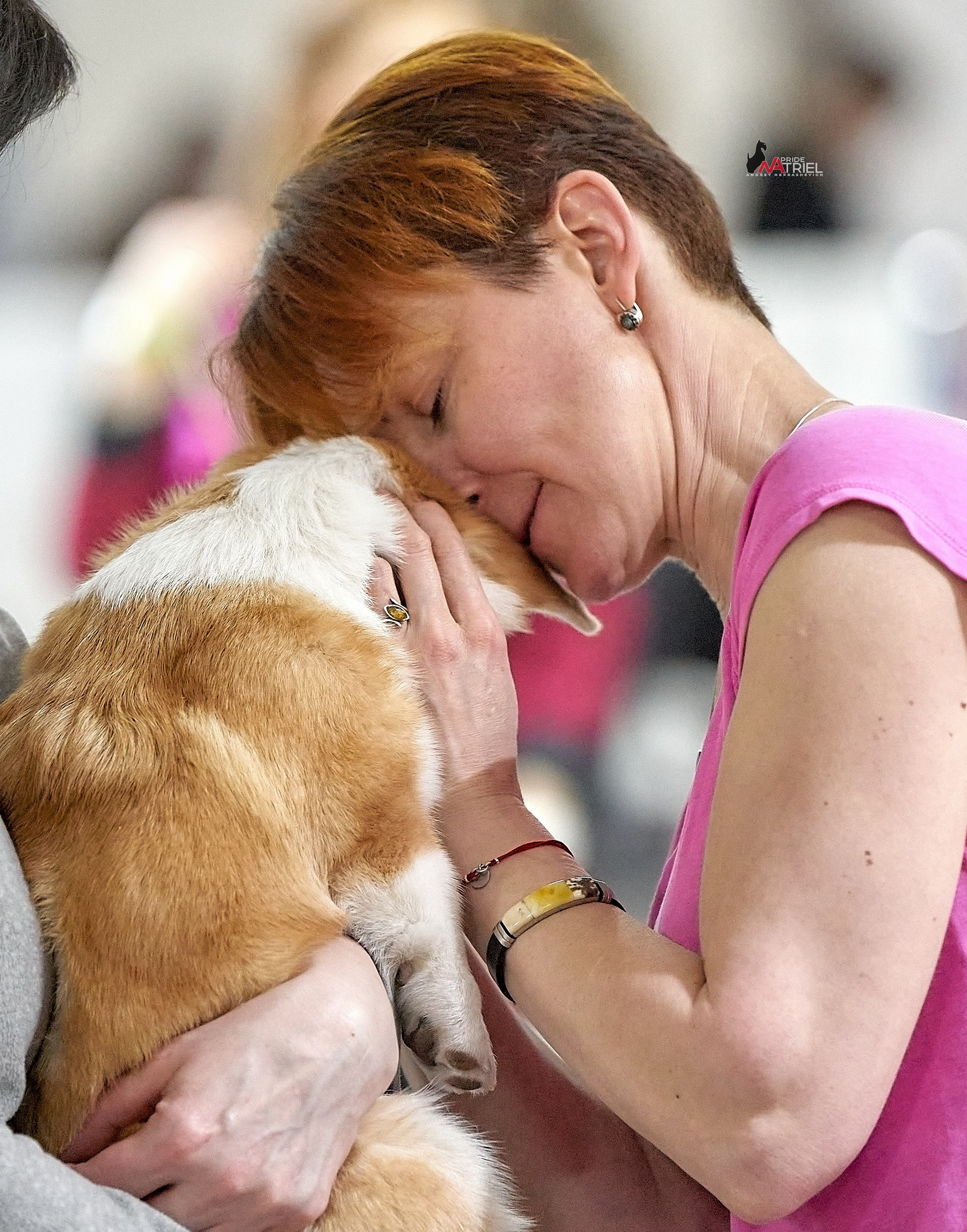 Собаки и Люди — галерея NATRIEL