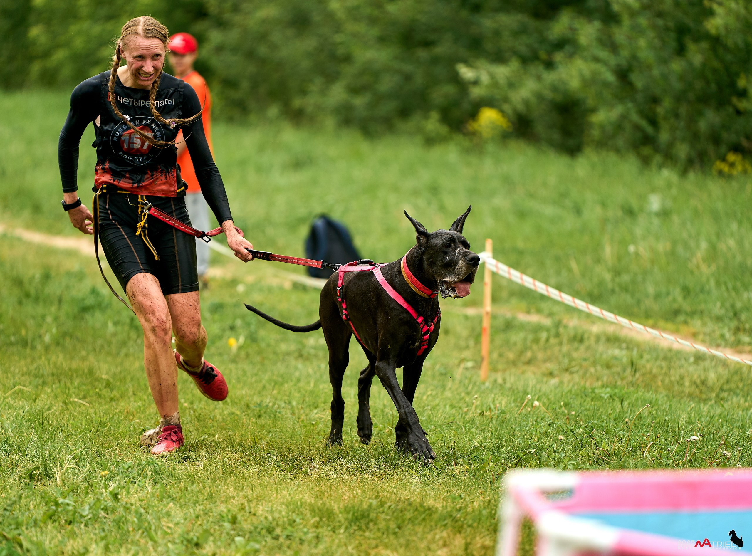Russian Extreme Dog Trail — 2025