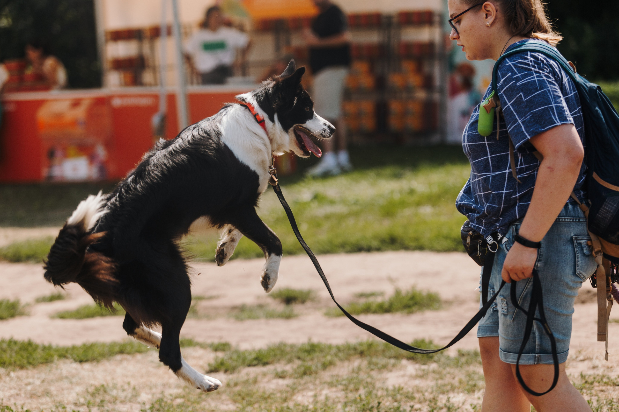Petshop Sup day. Фотограф анималист Кристина Карпова, Москва