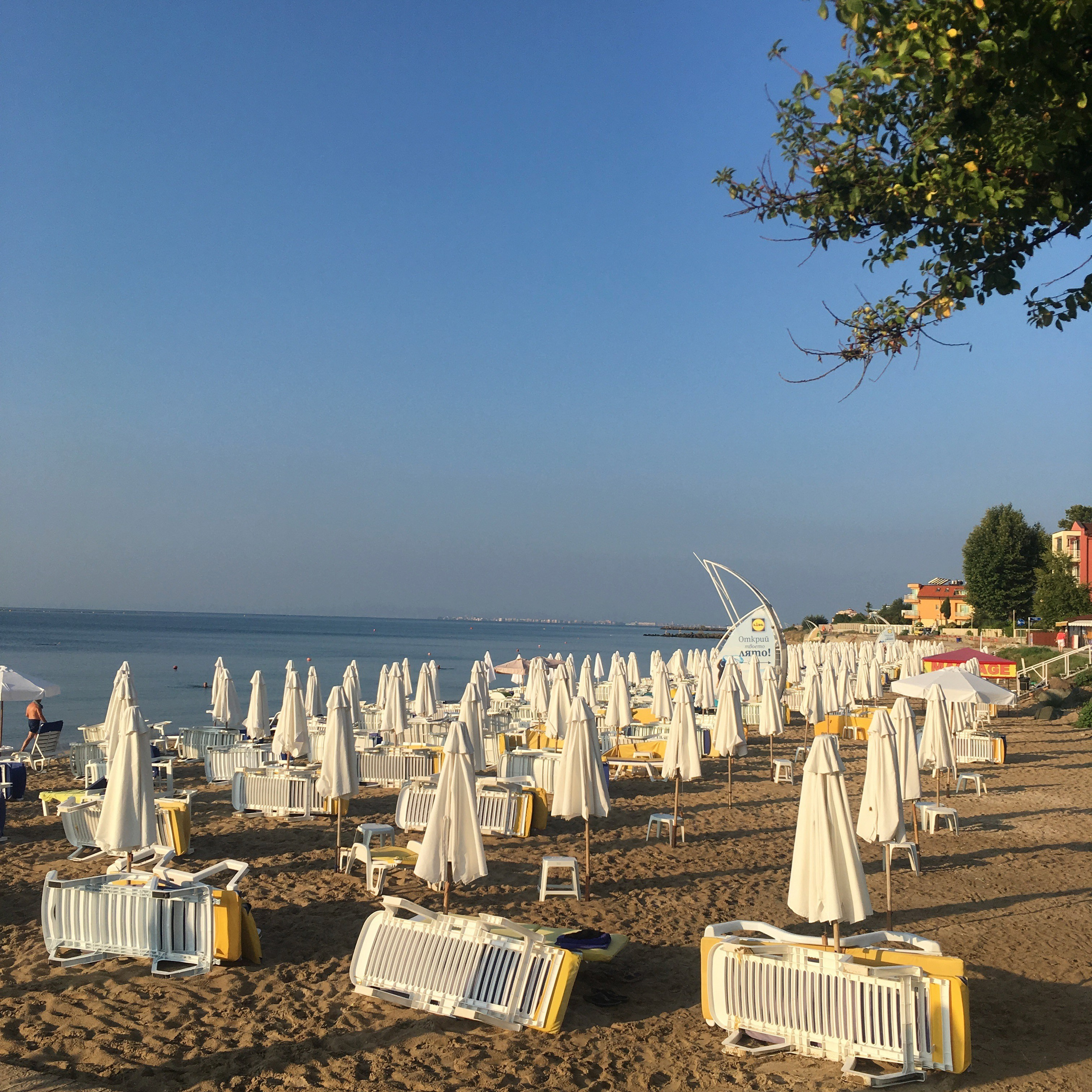 Болгария. Главная