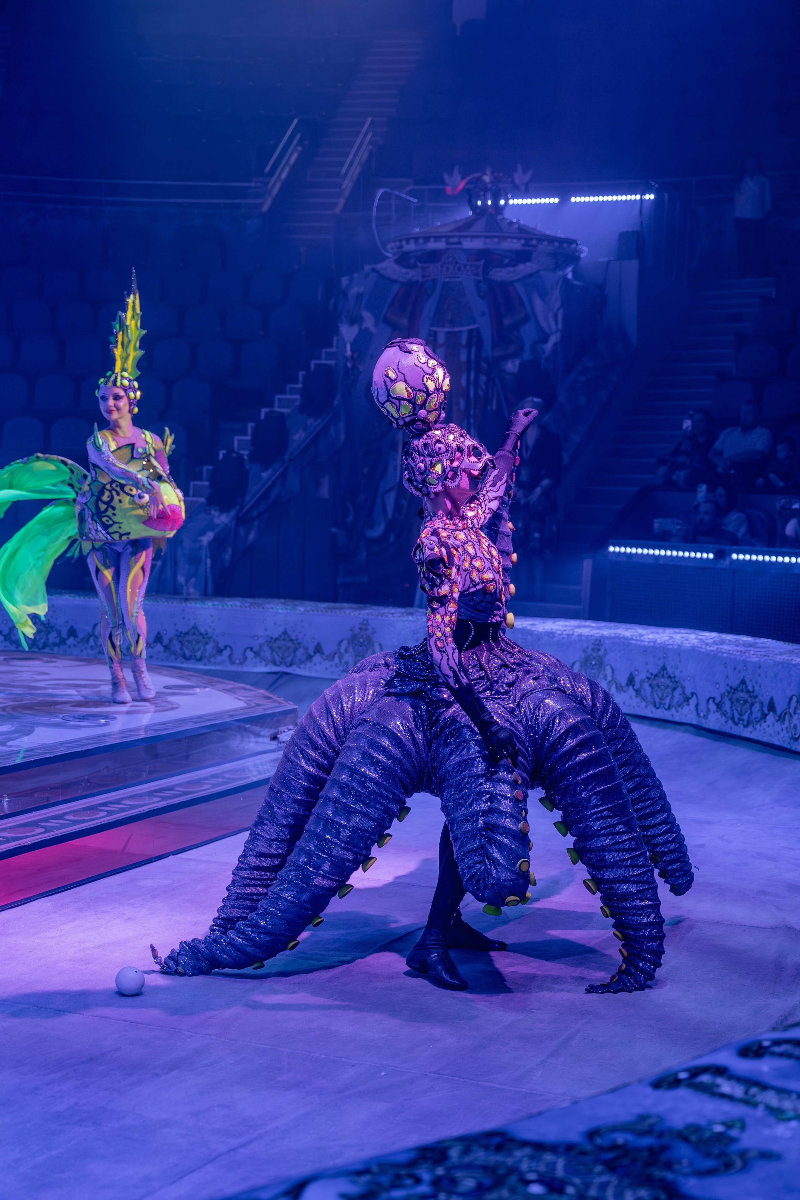 Цирк Гии Эрадзе. Наталья Слесаренко фотограф в Сочи