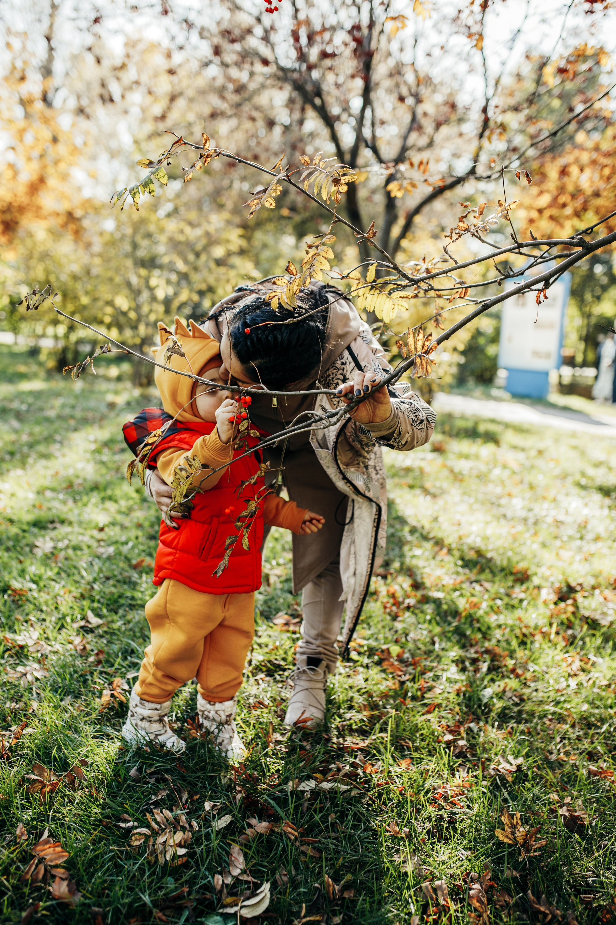 КОГДА ДЕРЕВЬЯ БЫЛИ БОЛЬШИМИ. Фотограф Лебедева Наталья