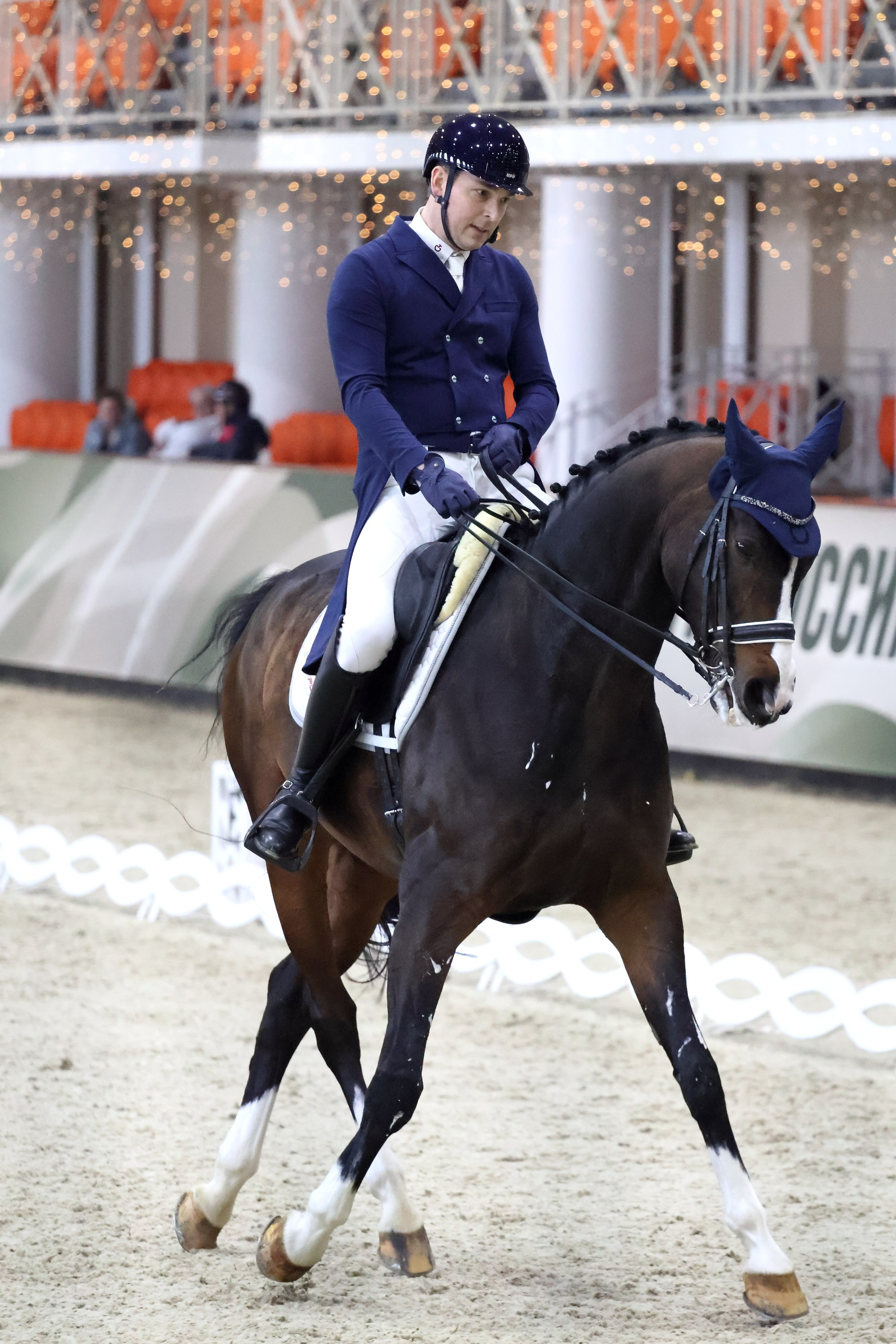 Соревнования по выездке КСК «Виват, Россия!». Спортивный и репортажный фотограф Ермакова Светлана