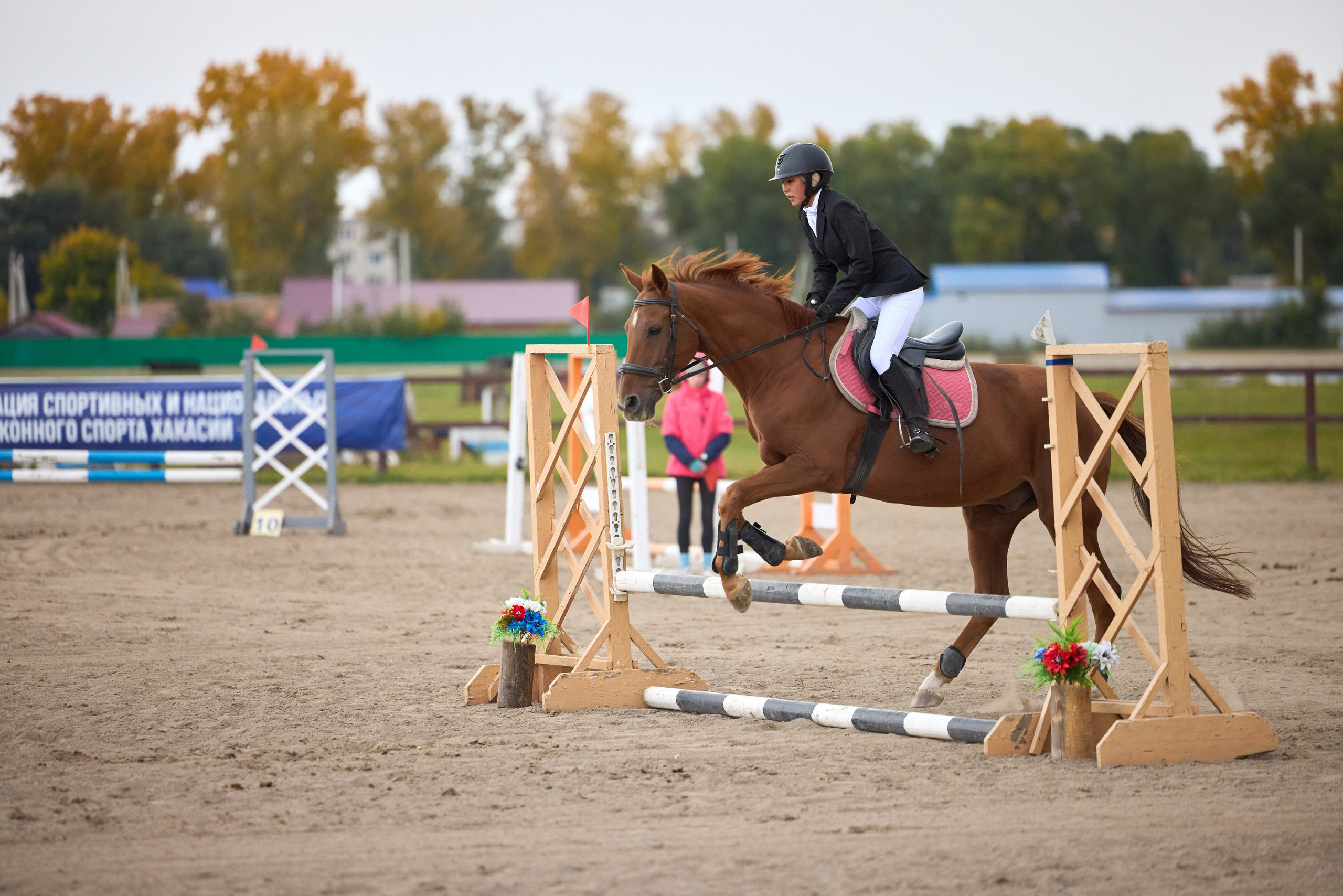 Конкур на Абаканском ипподроме. Ваши Истории. Фотограф/видеограф. Абакан