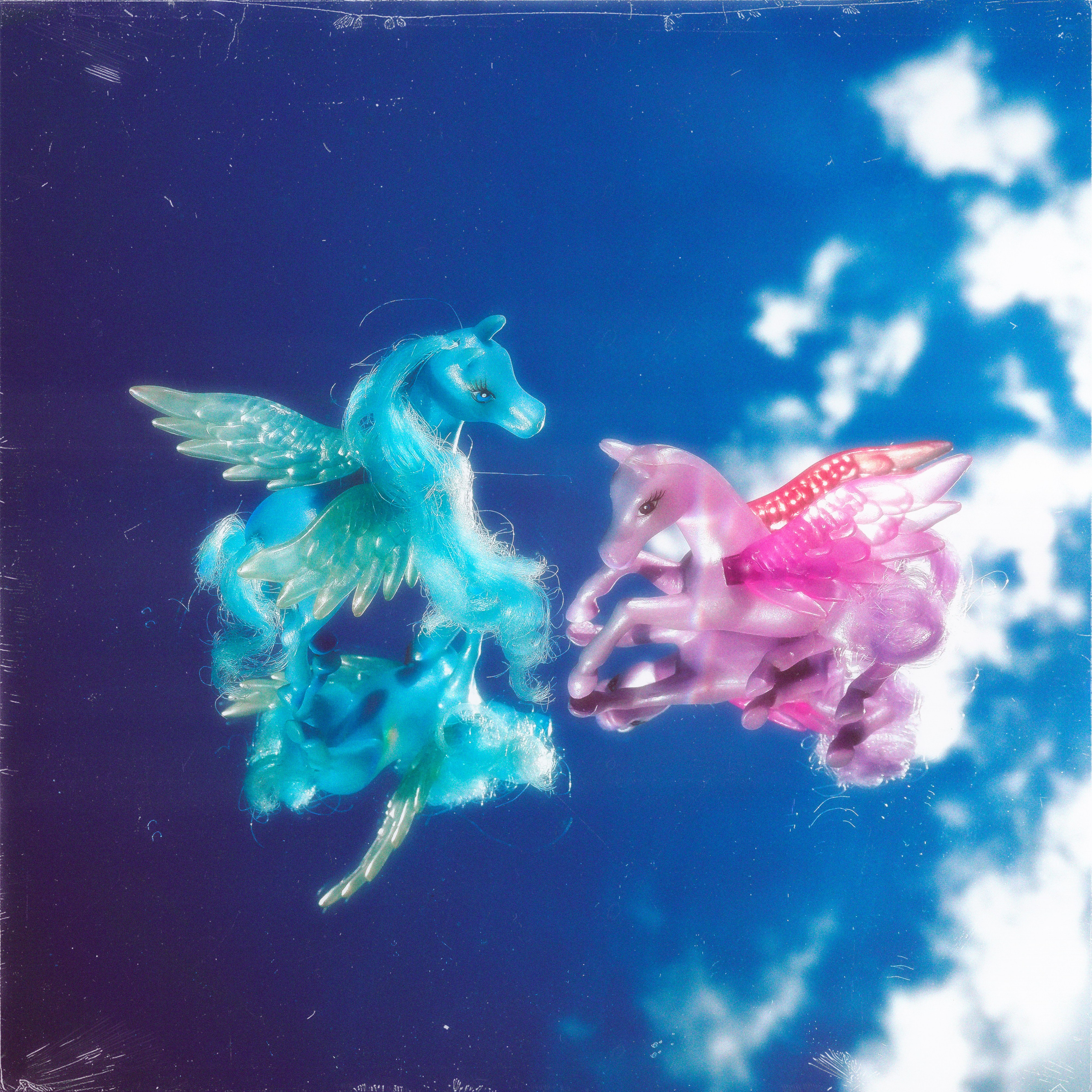 TOYS. ANNA — PHOTOGRAPHER