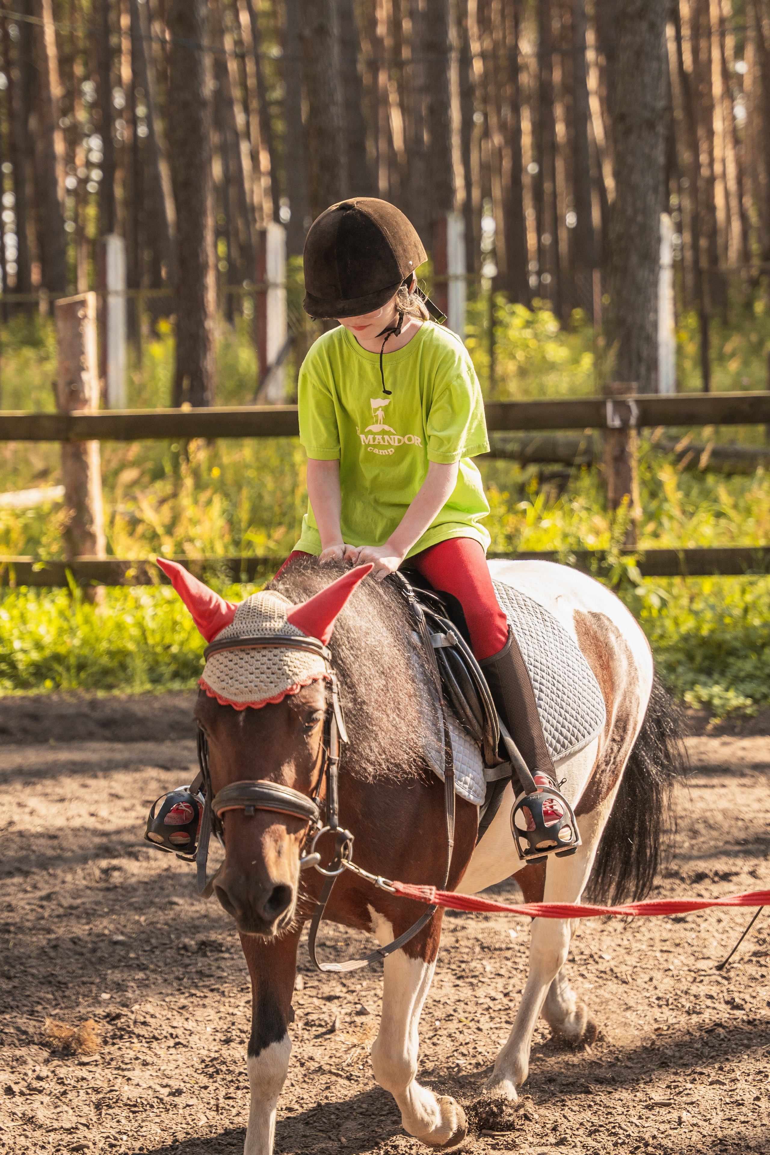 Конное занятие. Главная