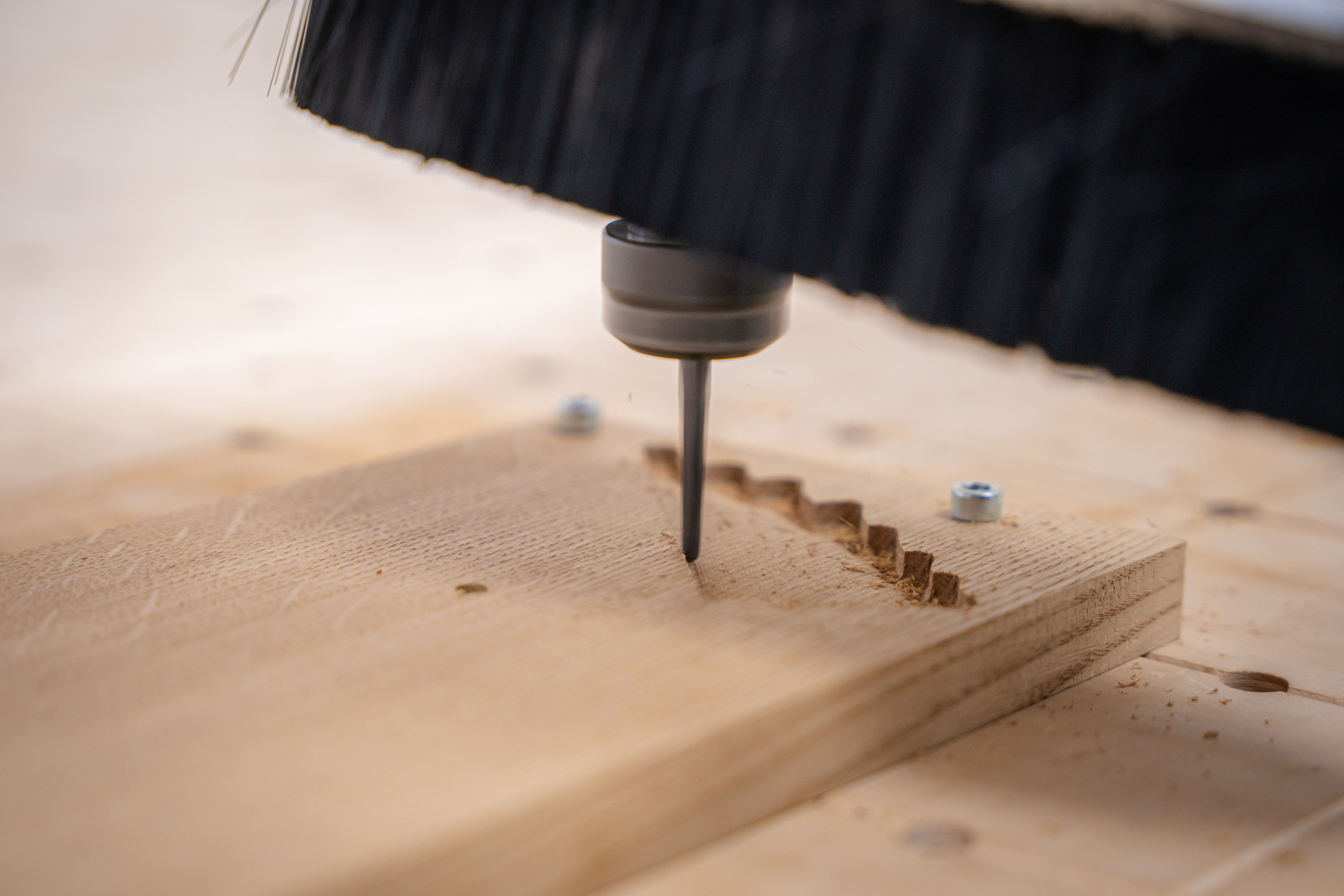 Дуб Forest. Главная