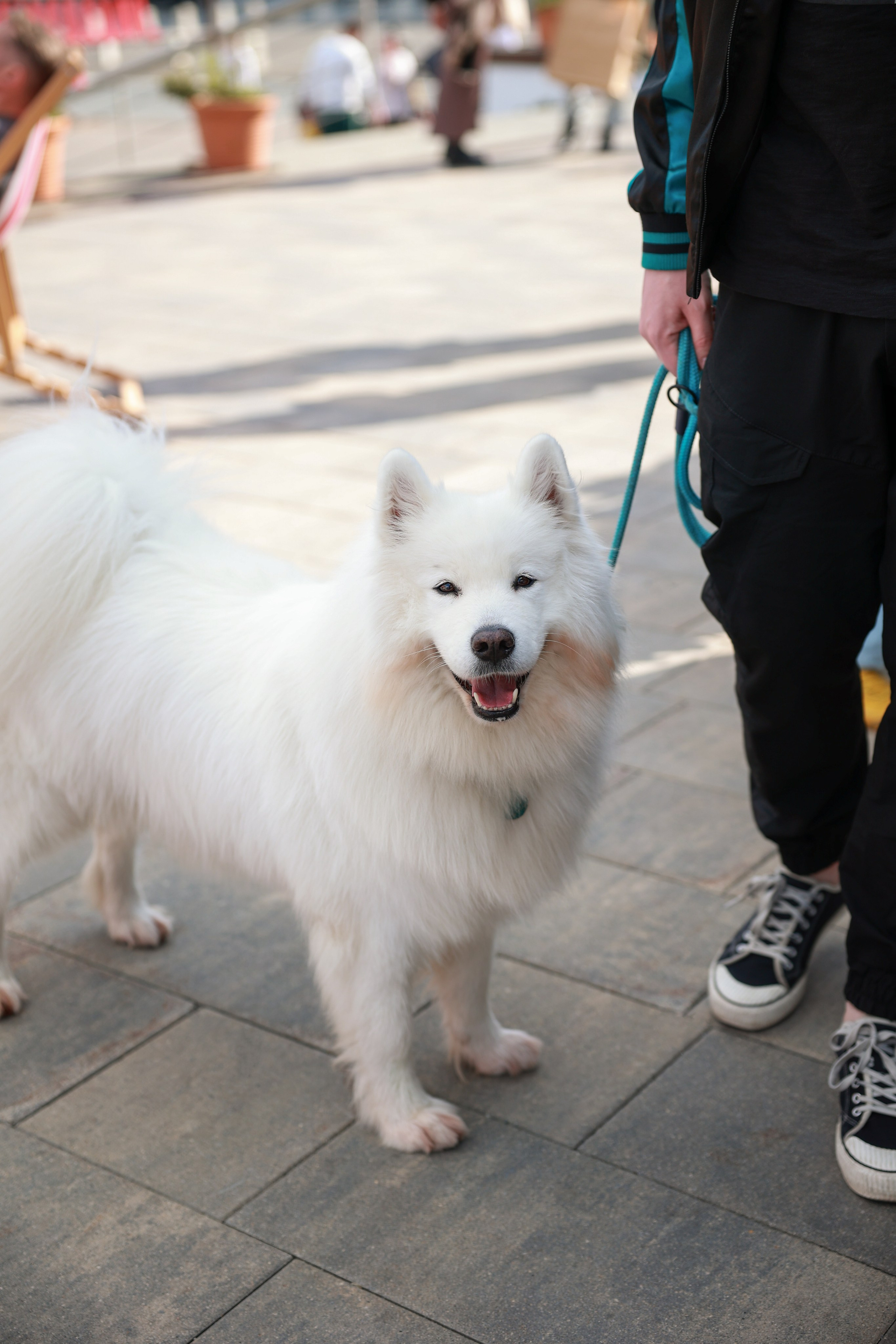 9–10 августа 2025 на Даниловском рынке / День 2 / фото Саша Жукова. Фотоотчеты «Ламбада-маркета»