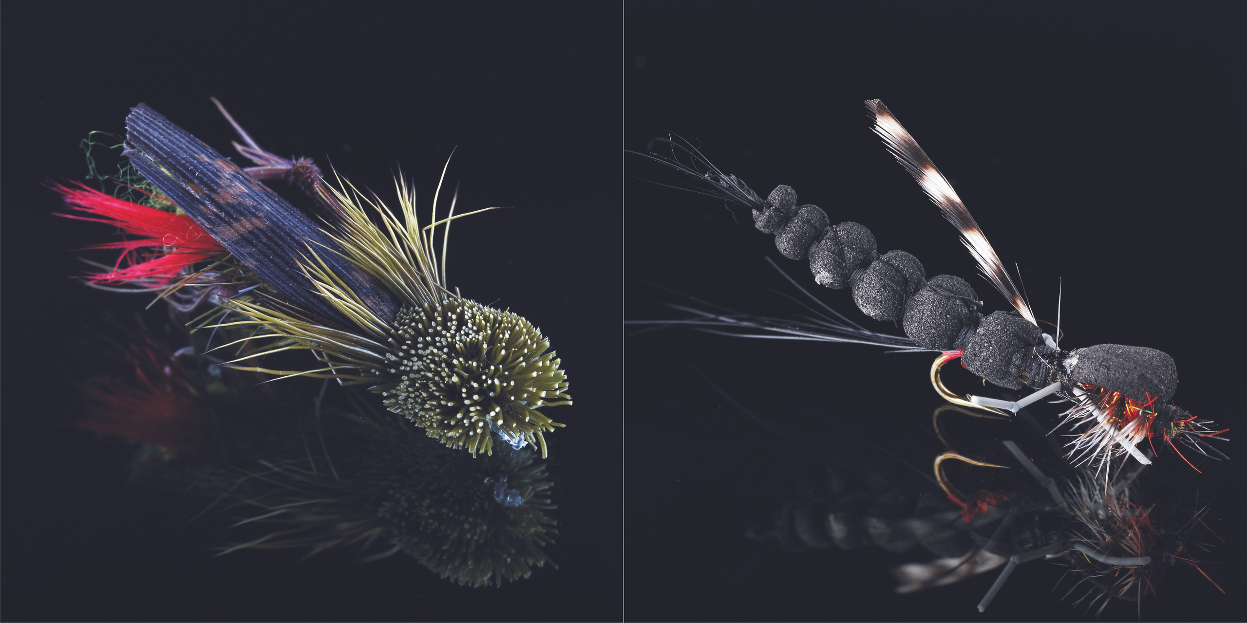 Макросъёмка. Medlori fotobook Выпускные альбомы в Липецке Лариса Медведева