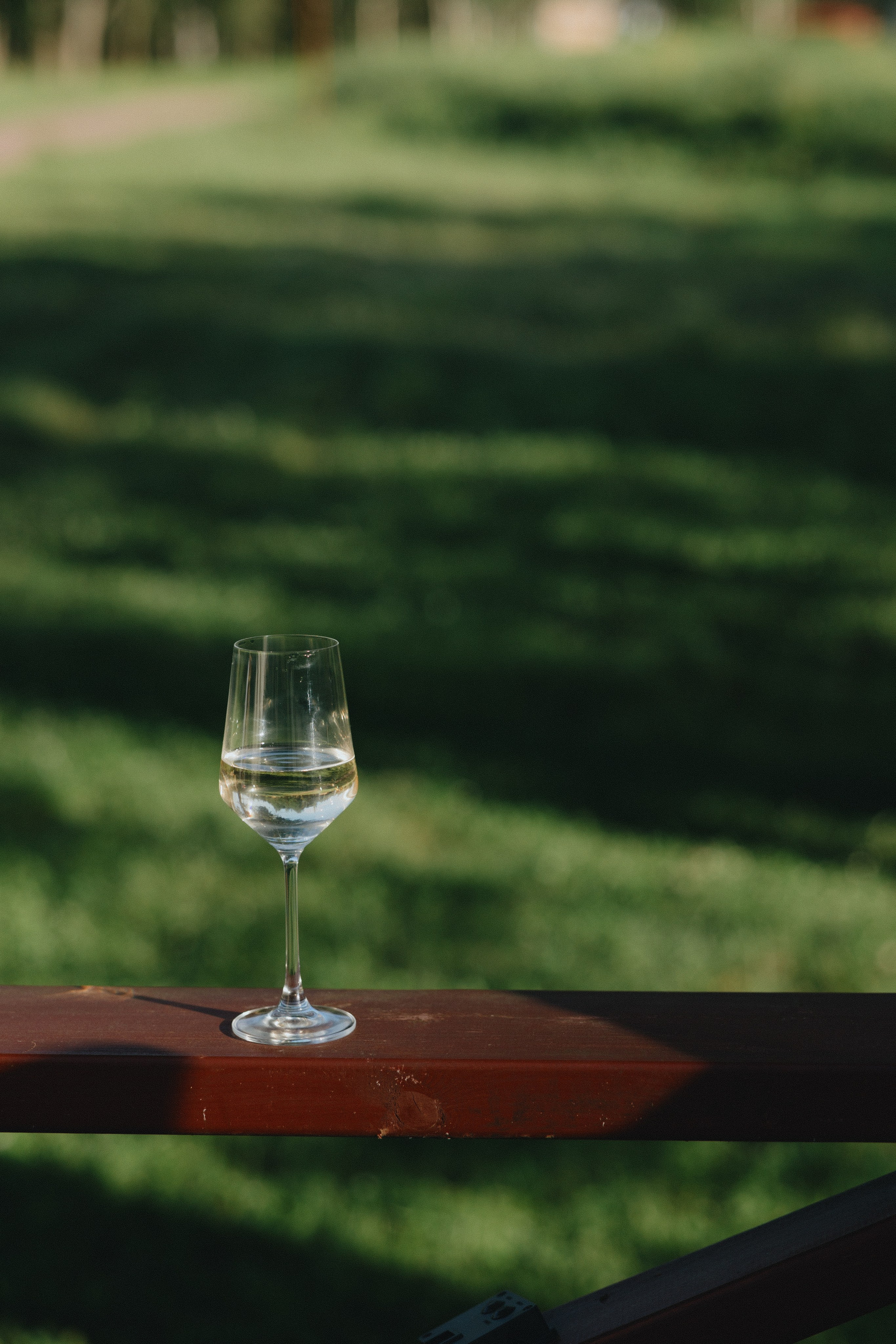 Эко вечеринка / 2025. Фотограф СПб