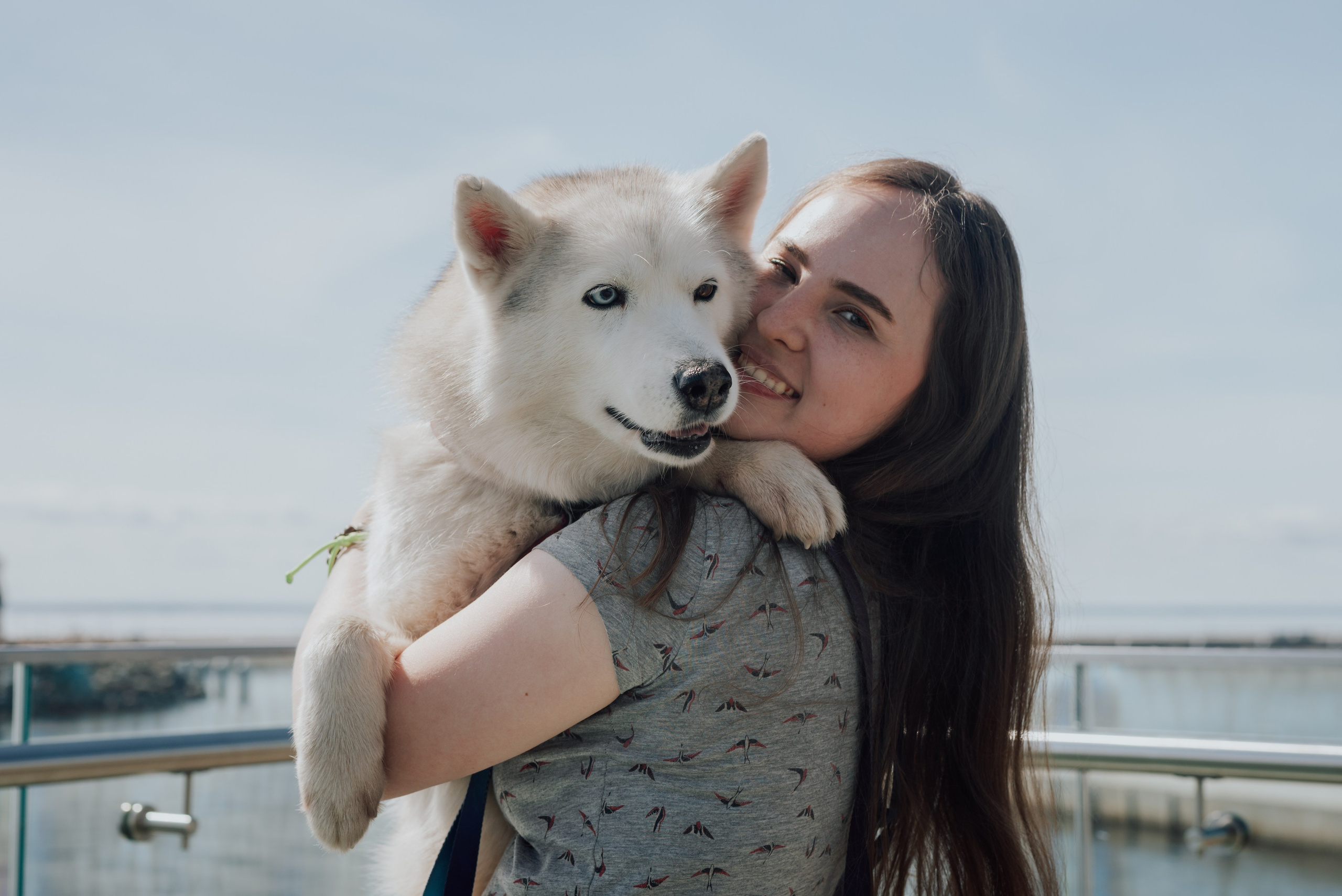Фотодень с хаски. Фотограф в Санкт-Петербурге и Ленинградской области
