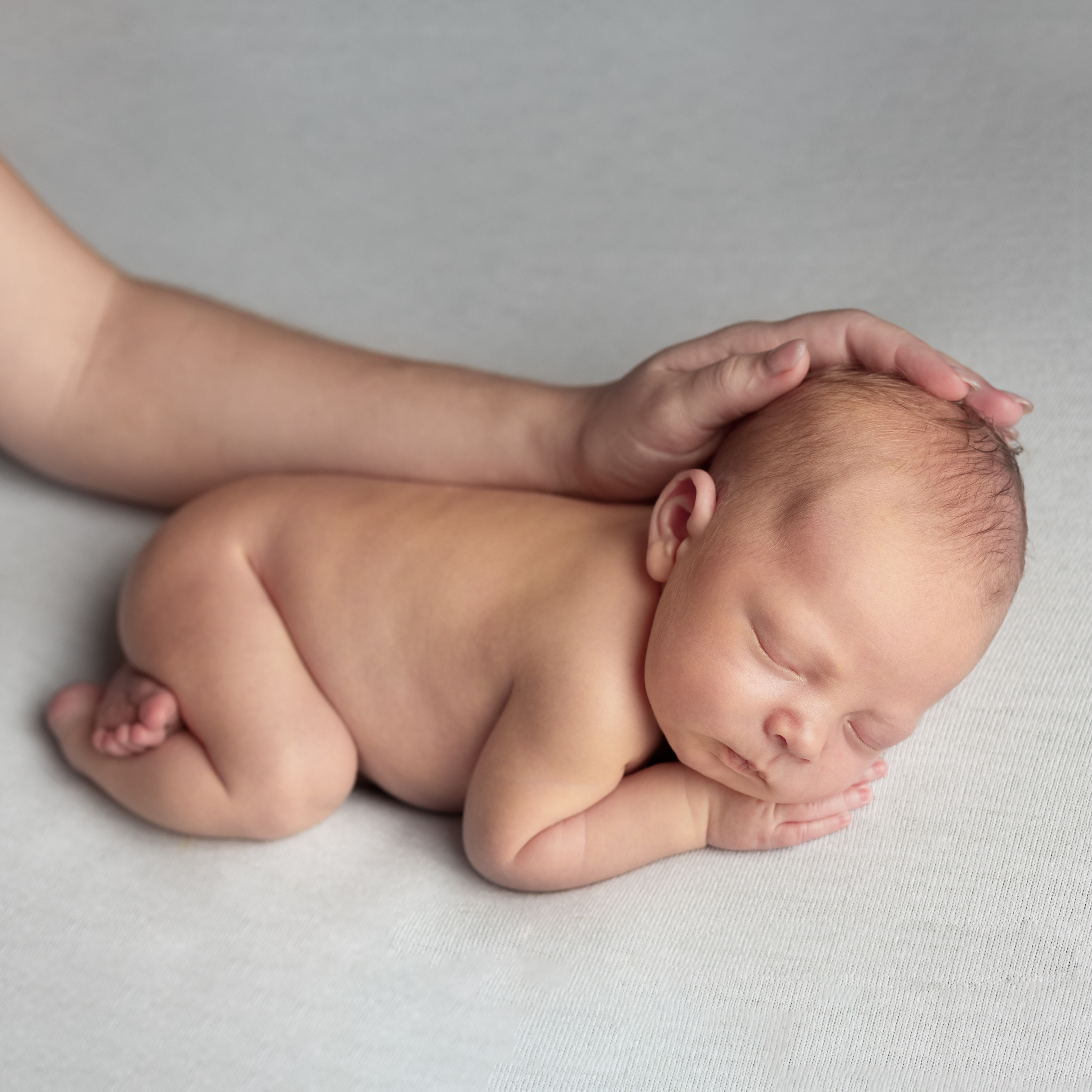 Съемка новорожденных Старый Оскол. Семейный фотограф и новорожденных в Старом Осколе Анна Старкова,