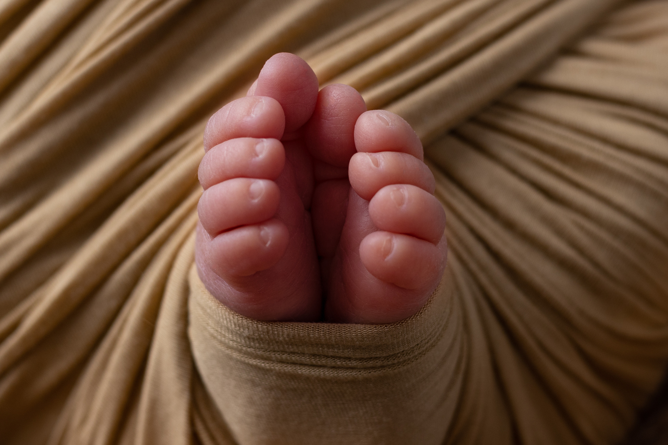 Съемка новорожденных Старый Оскол. Семейный фотограф и новорожденных в Старом Осколе Анна Старкова,