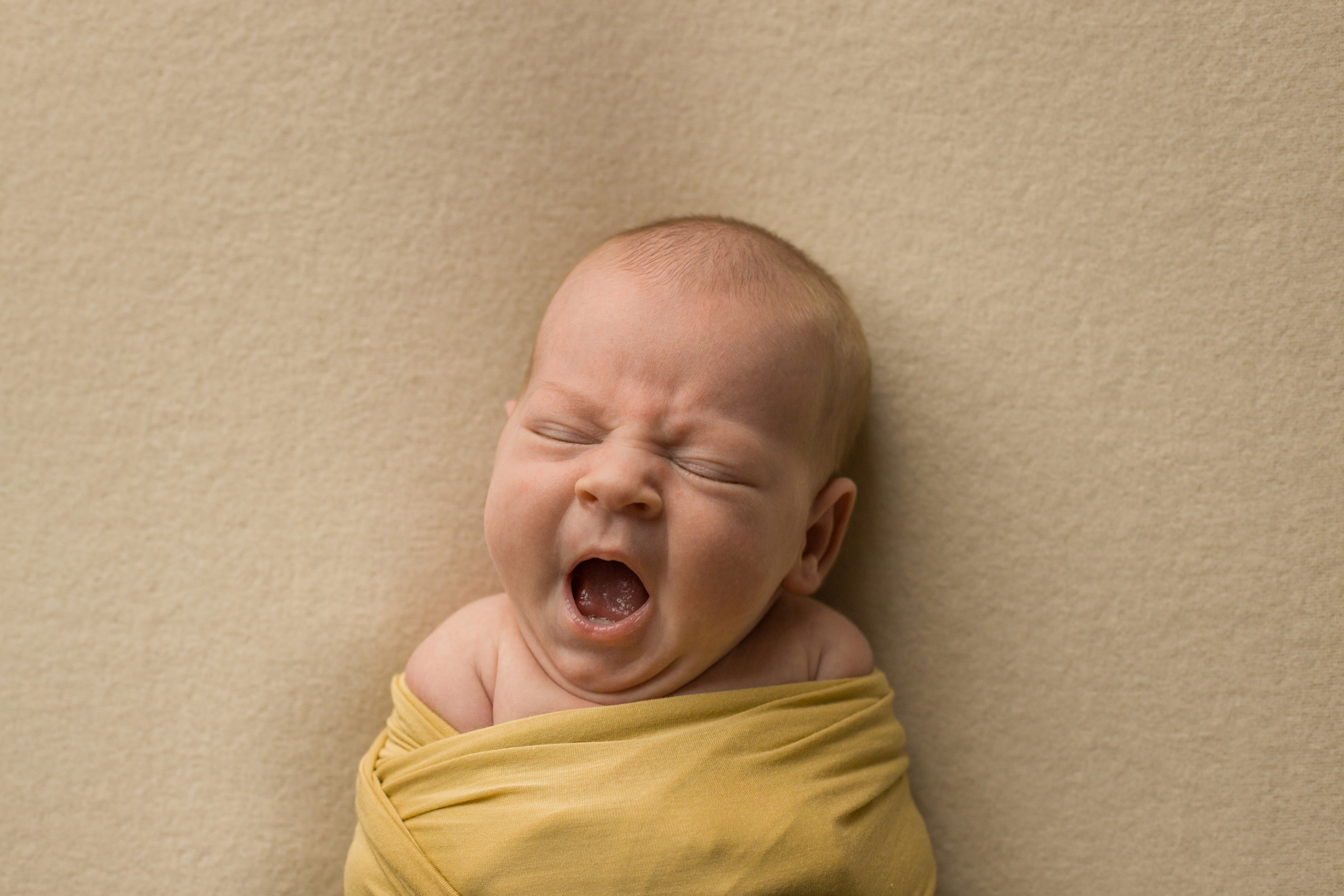 Съемка новорожденных Старый Оскол. Семейный фотограф и новорожденных в Старом Осколе Анна Старкова,