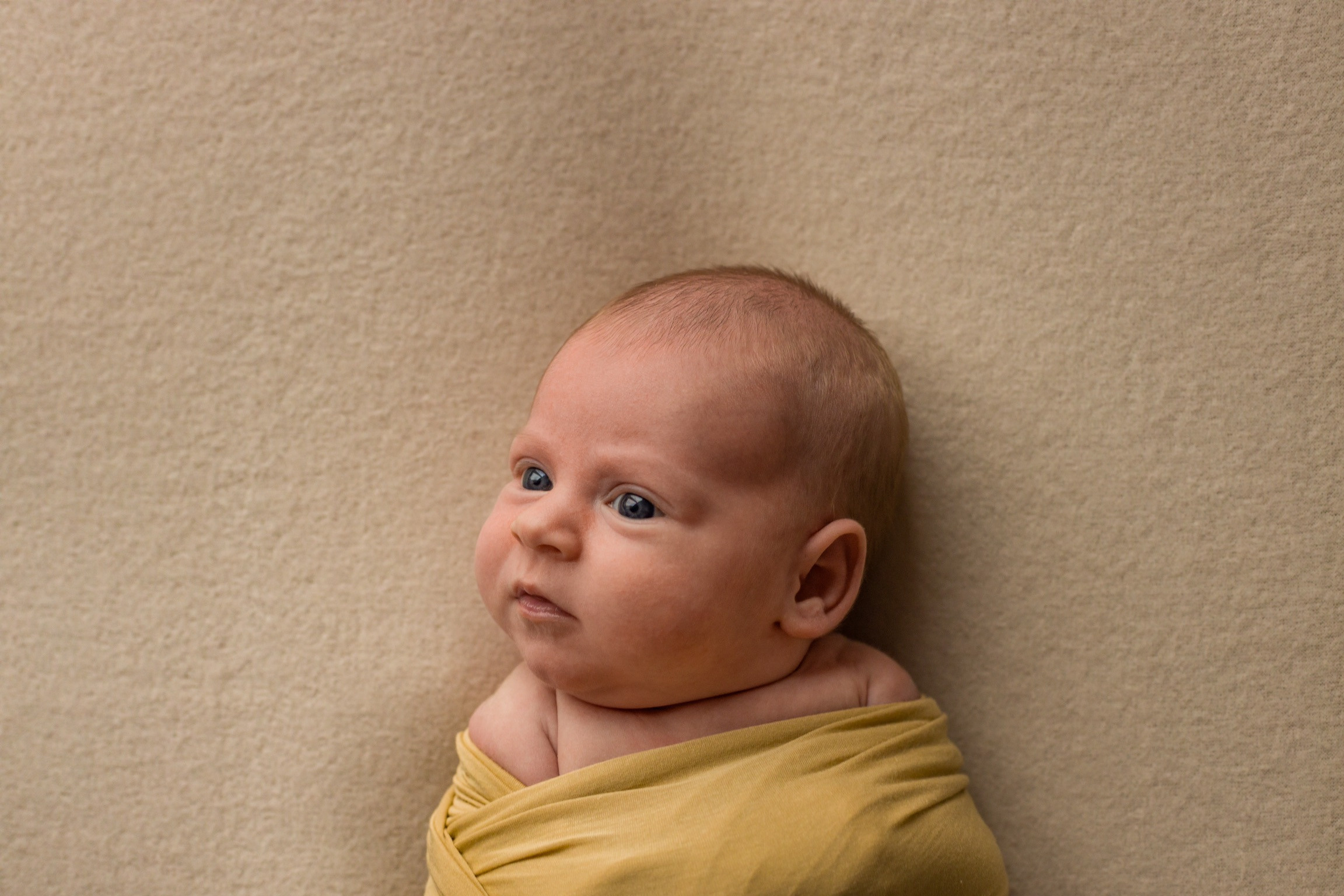 Съемка новорожденных Старый Оскол. Семейный фотограф и новорожденных в Старом Осколе Анна Старкова,