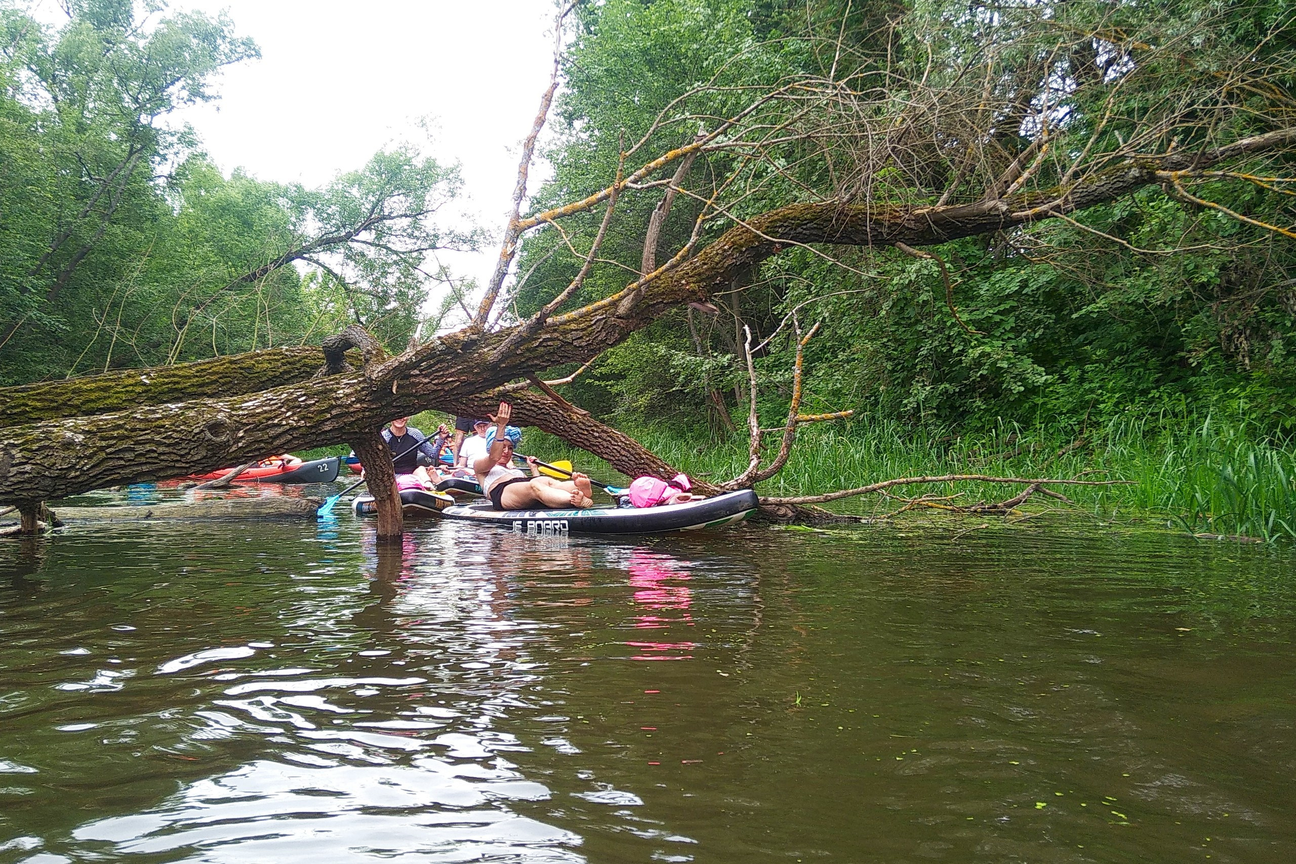 Сплав на сапах | 16.06.2024. Галерея Фантим