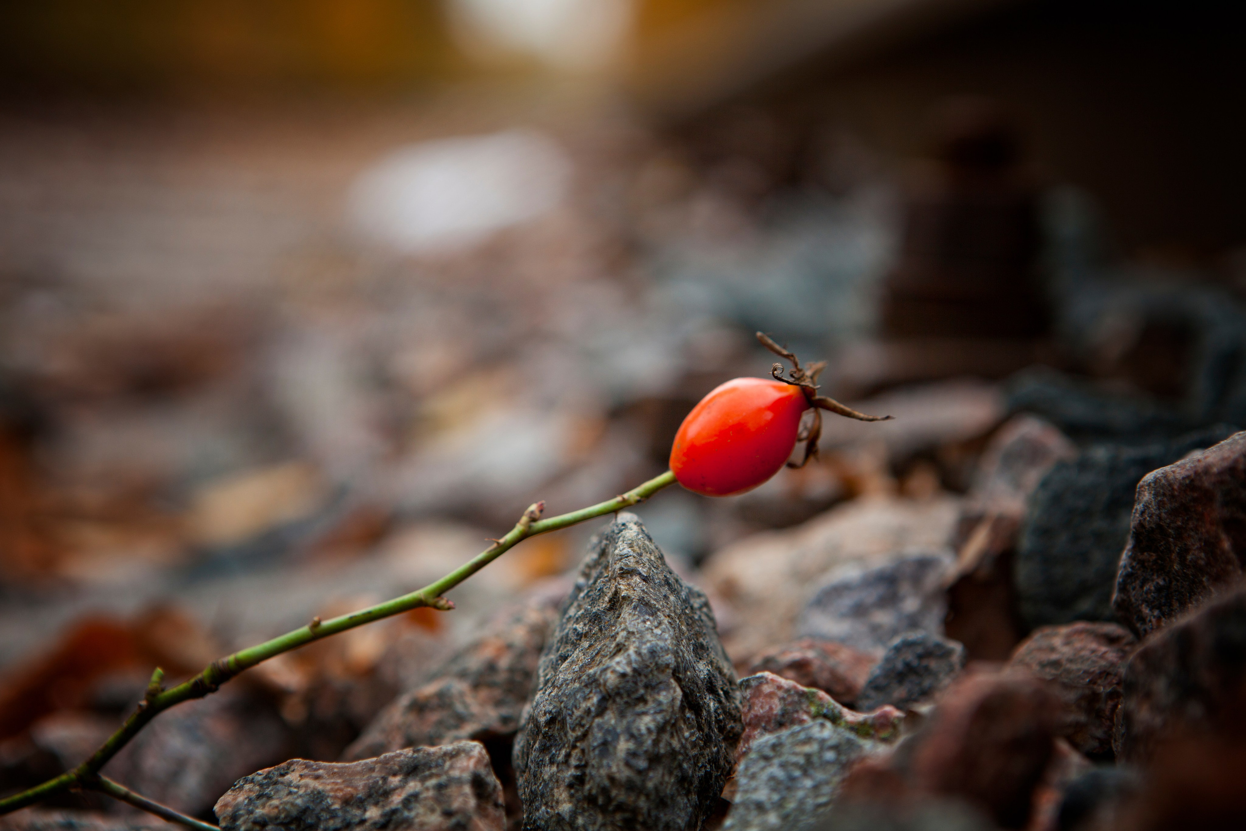 Фотографии природы