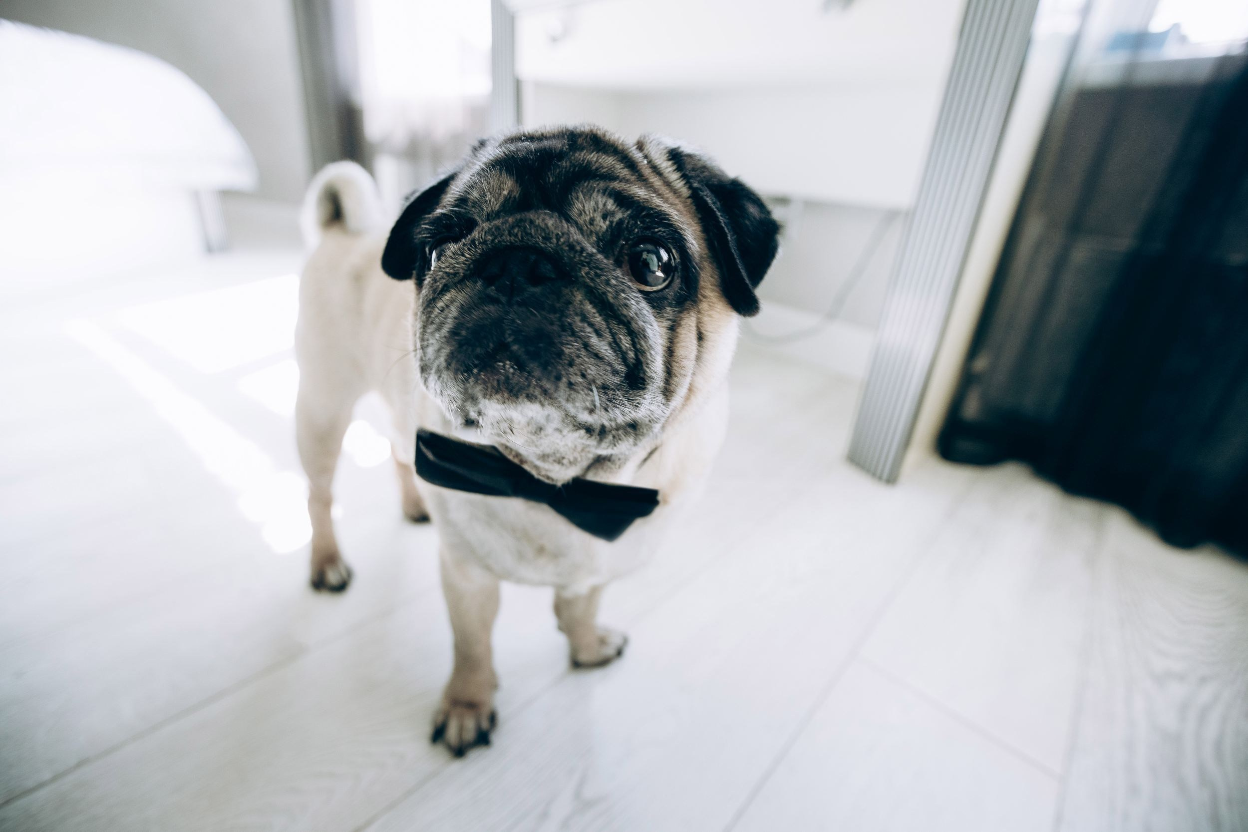 Алина. Фотограф Марина Верятинская | Краснодар