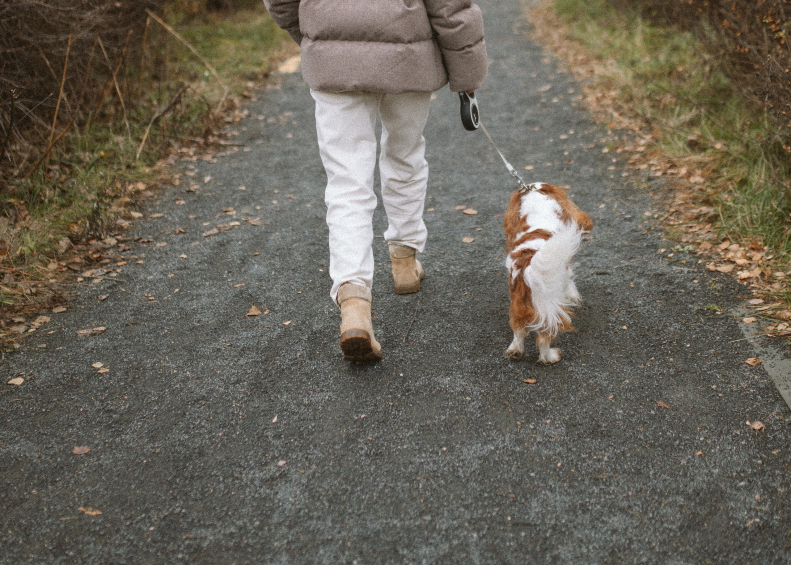 Настя и Тэйлор. Фотограф анималист в Москве Ольга Агушева