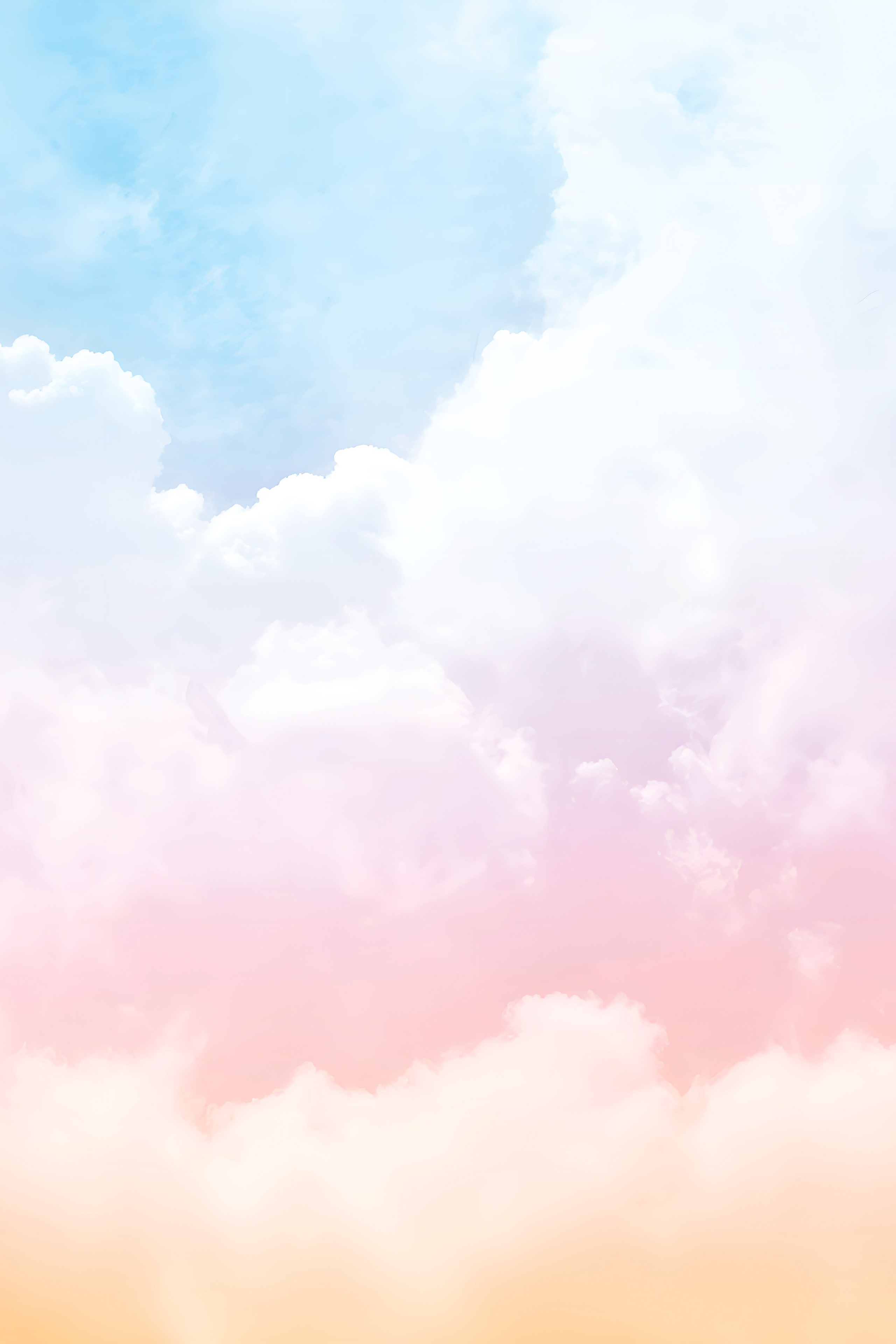 Оборудование. Фотостудия «Алиса» Тюмень