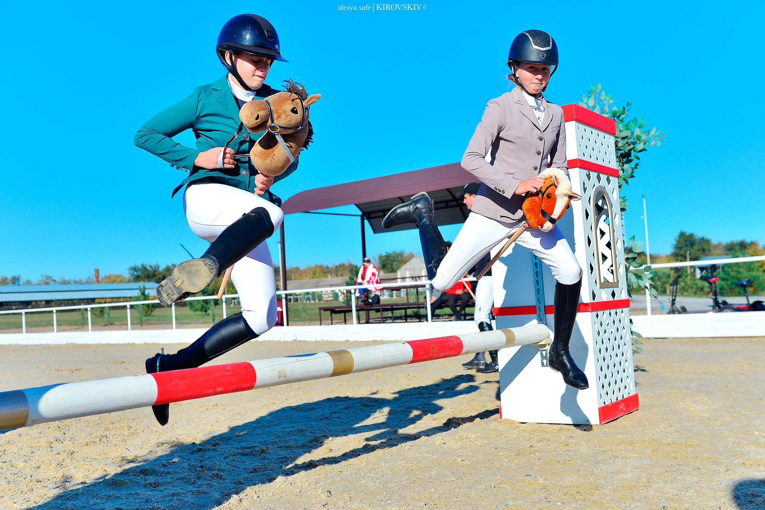 Кировский конный завод. Конный фотограф Alesya Safe