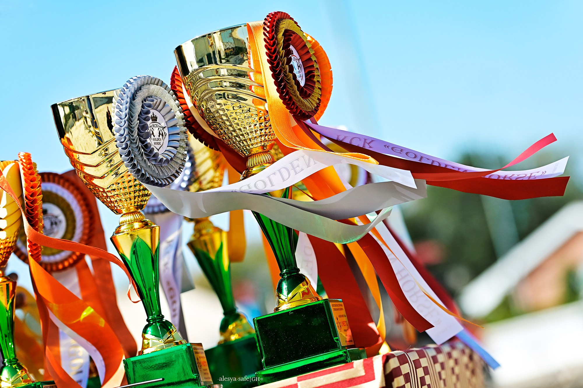 Голден. Конный фотограф Alesya Safe