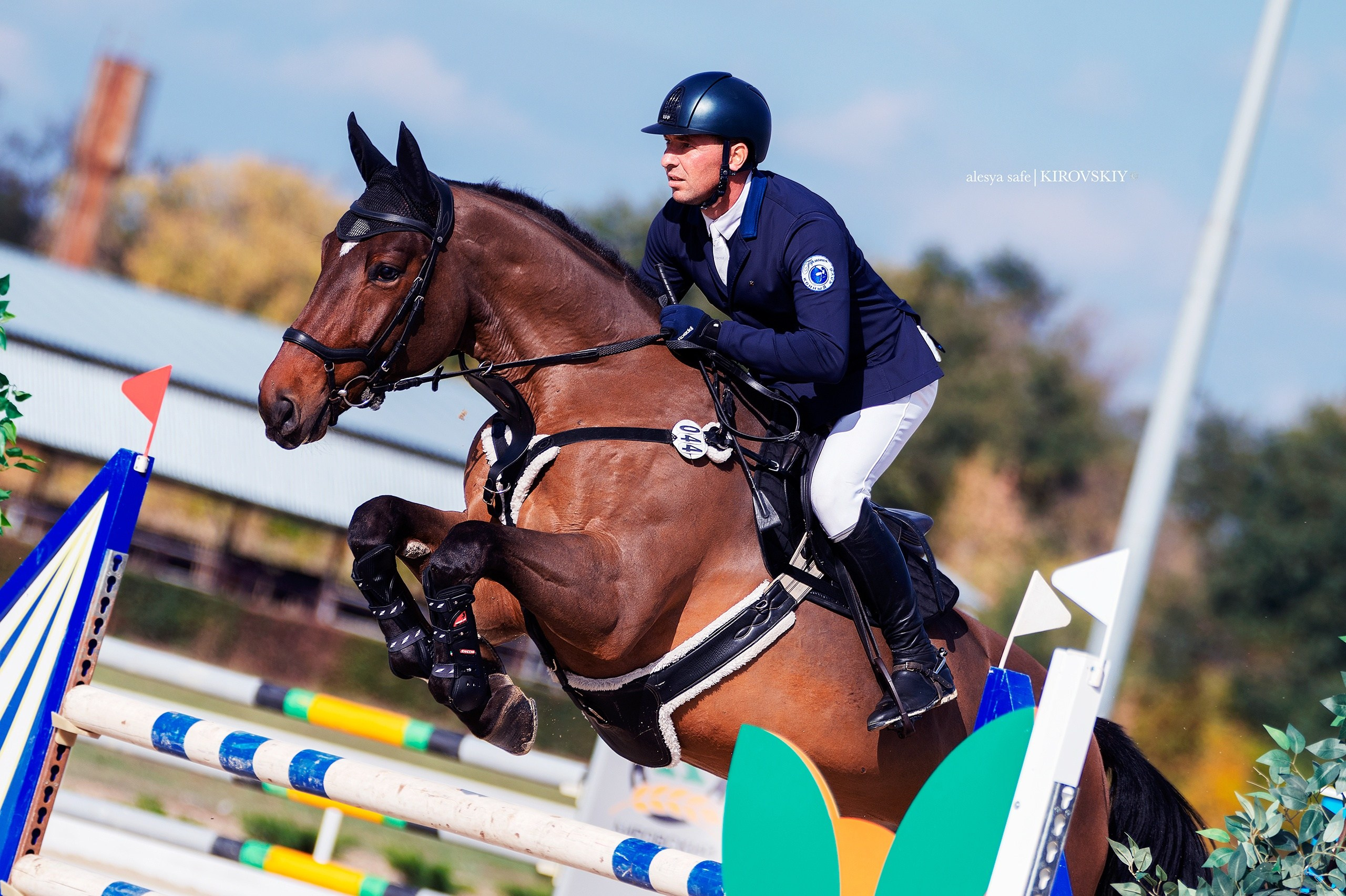 Кировский конный завод. Конный фотограф Alesya Safe