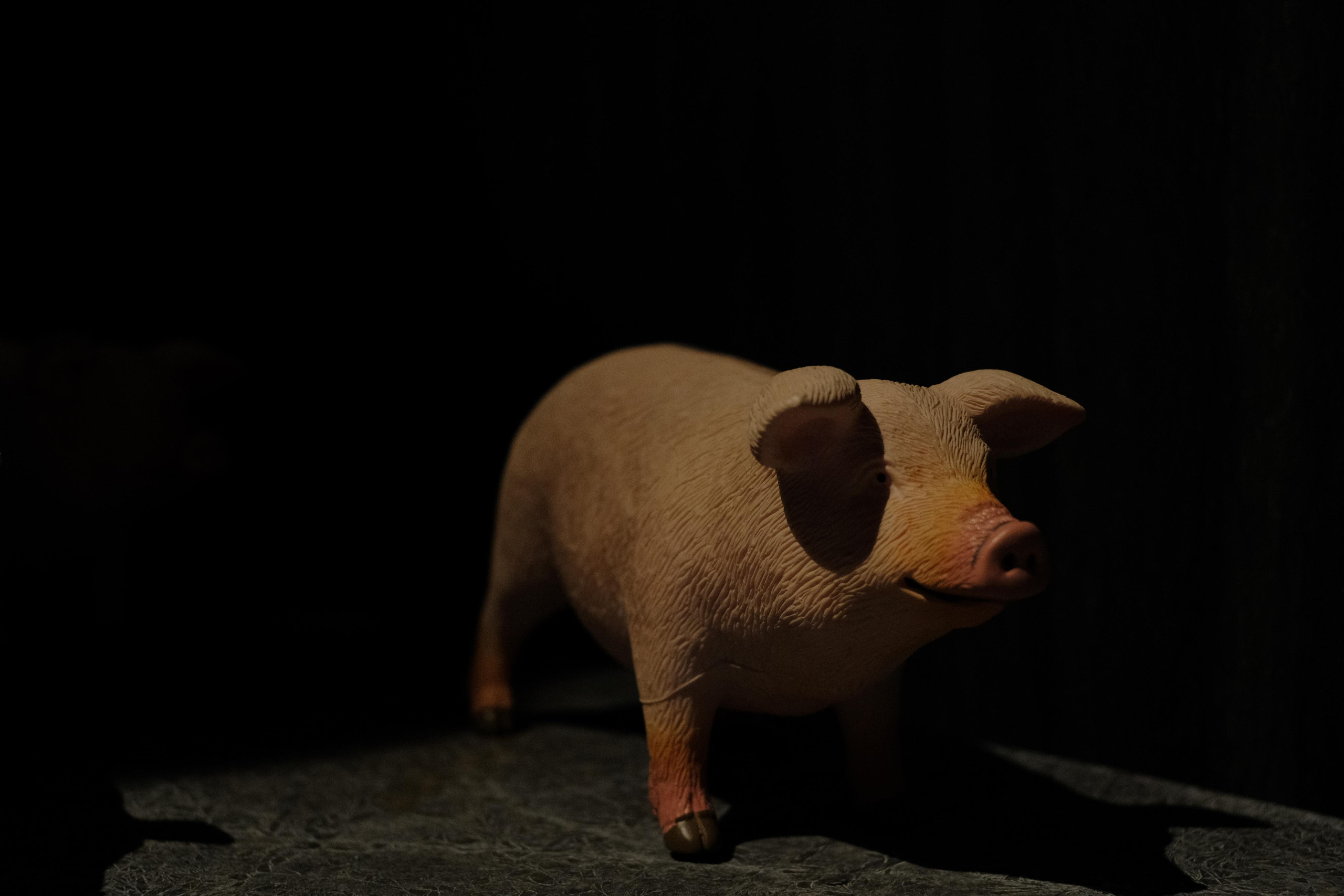 Выставка «Балабанов». Фотограф Мария Хлебникова Санкт-Петербург Москва