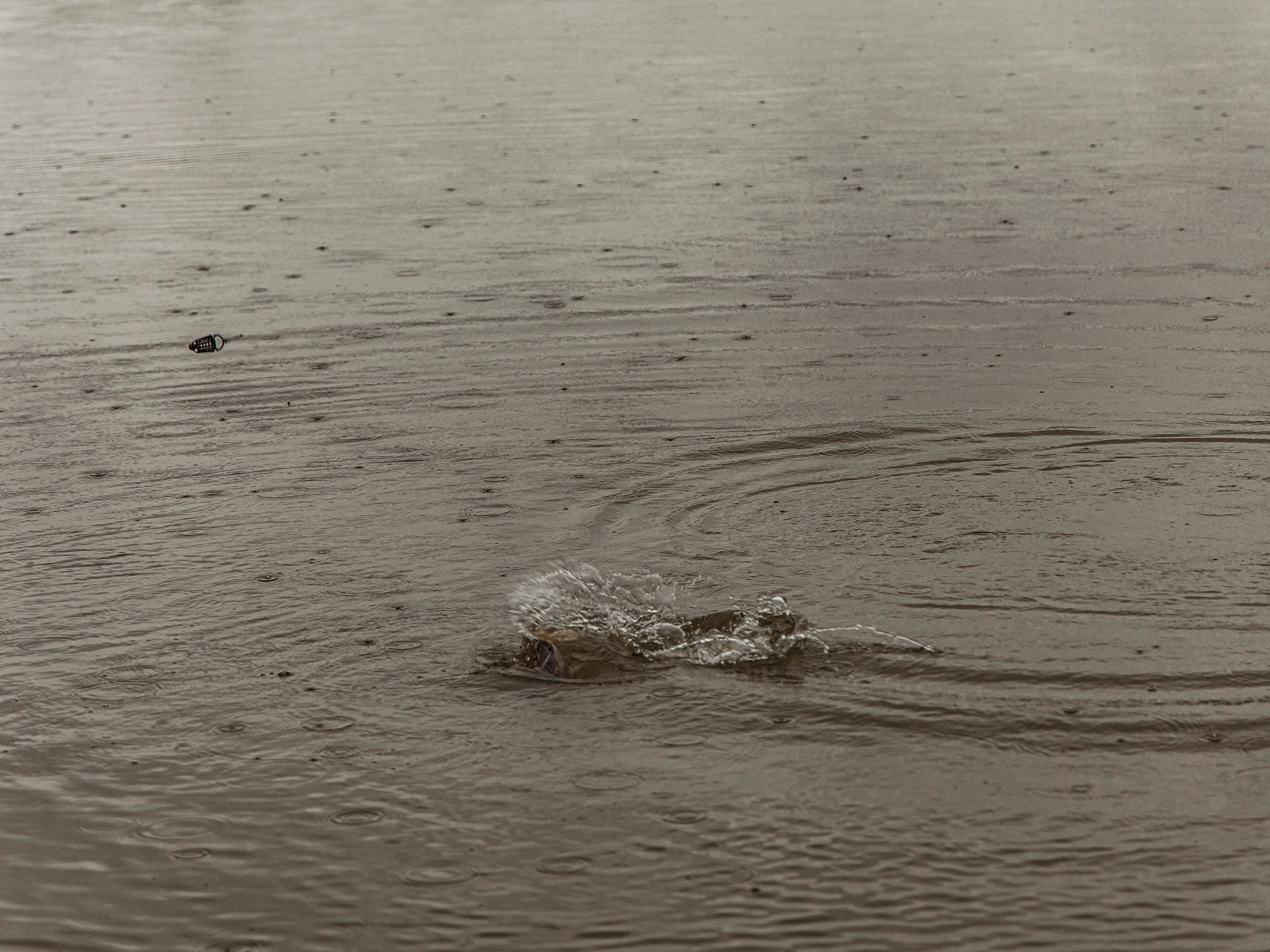 Тихая заводь. Чеховский район. Фотограф для маркетплейсов, фотоуслуги в Жуковском Татьяна Марсуверских