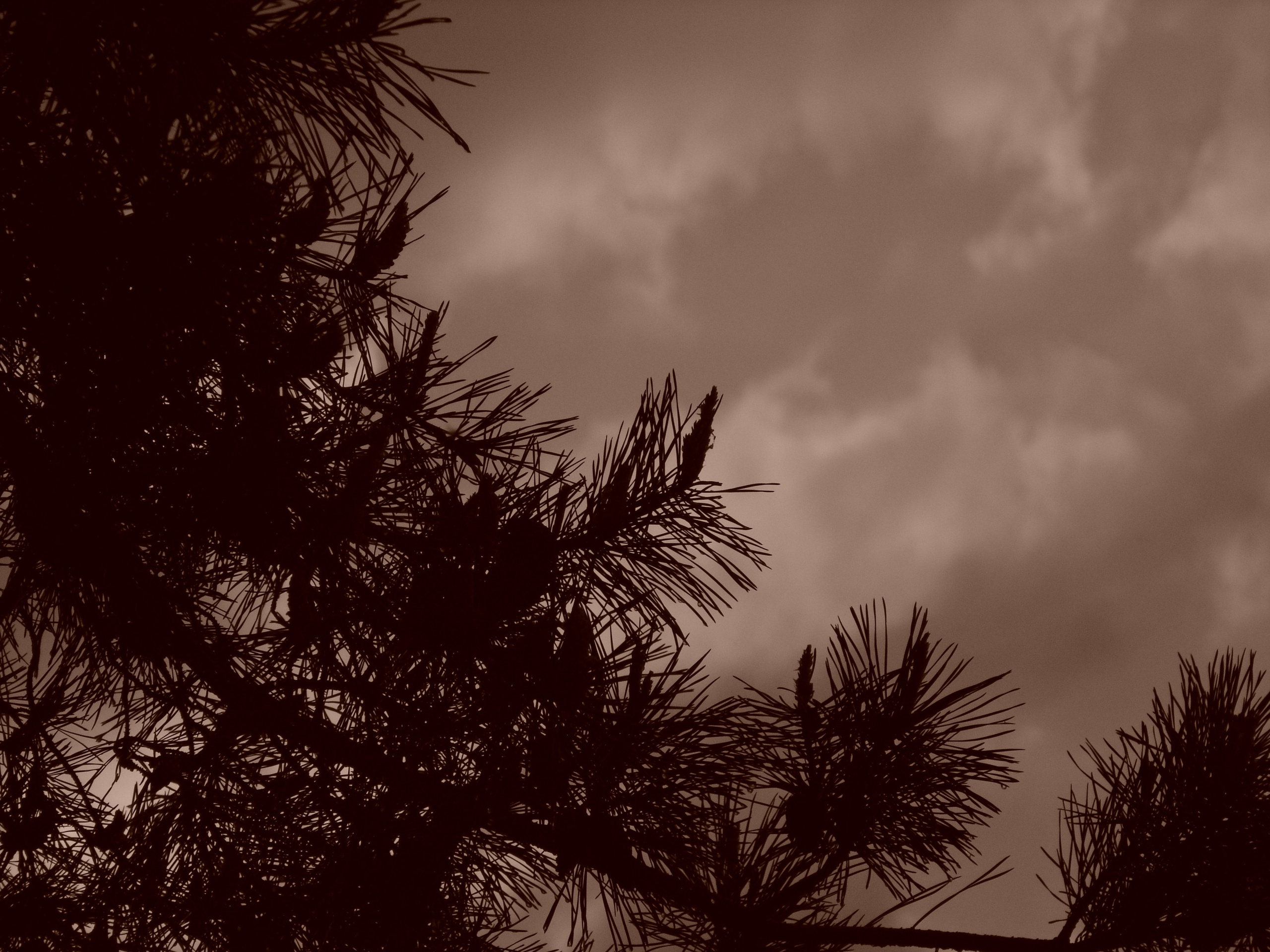 Приезд КС 2005. Заставка