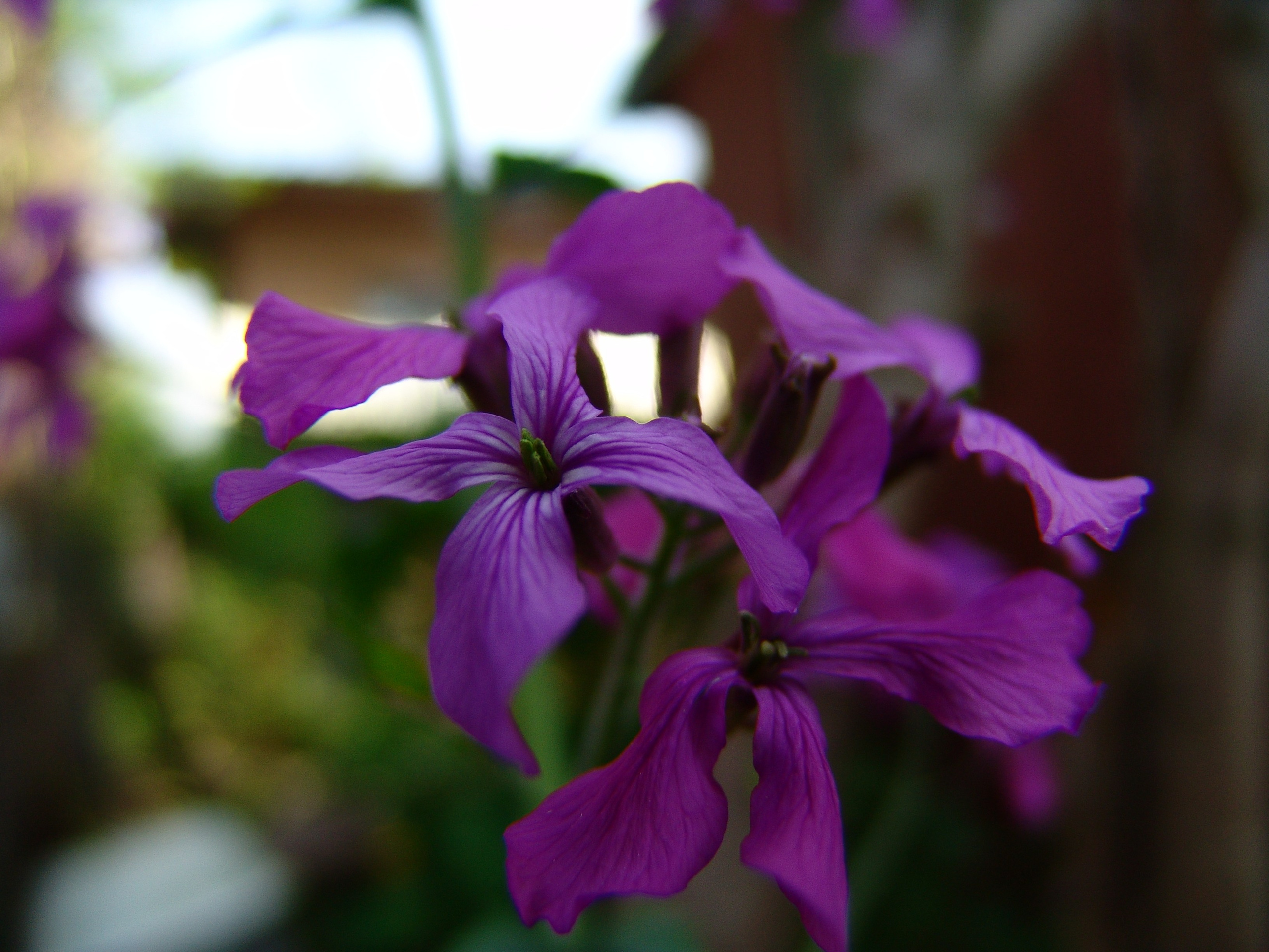 Приезд КС 2005. Заставка