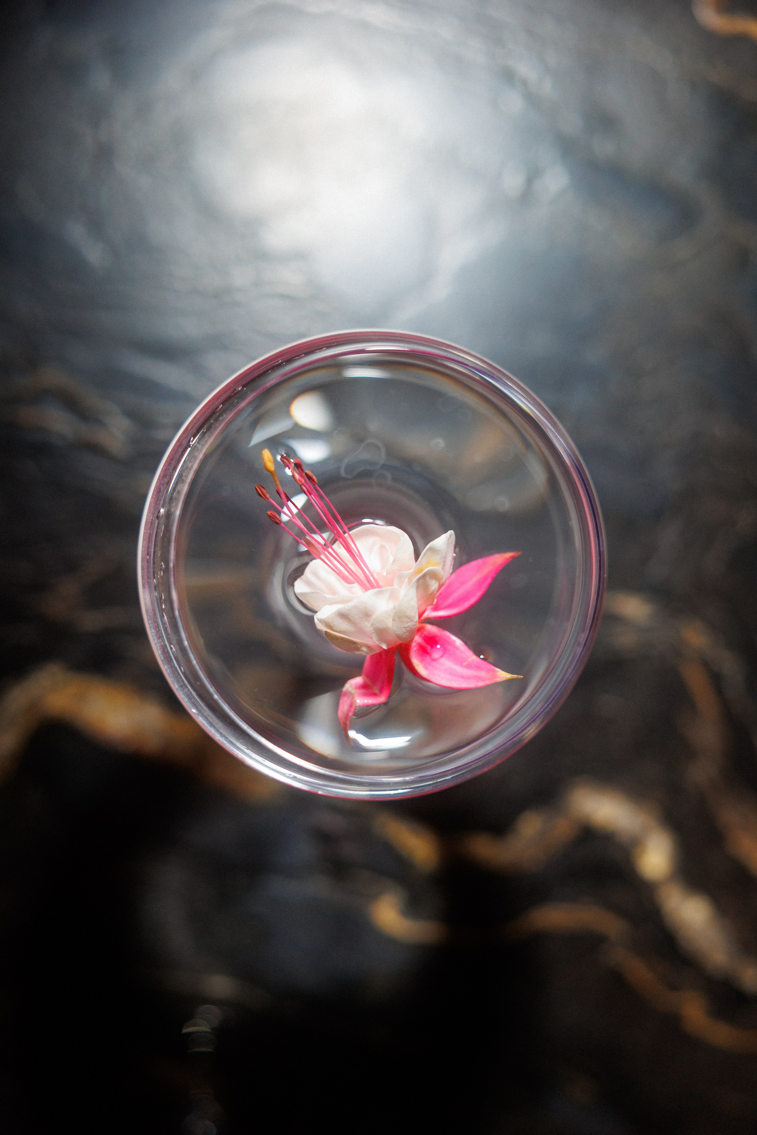 MOEX Japan. Фотограф Александр Тулупов