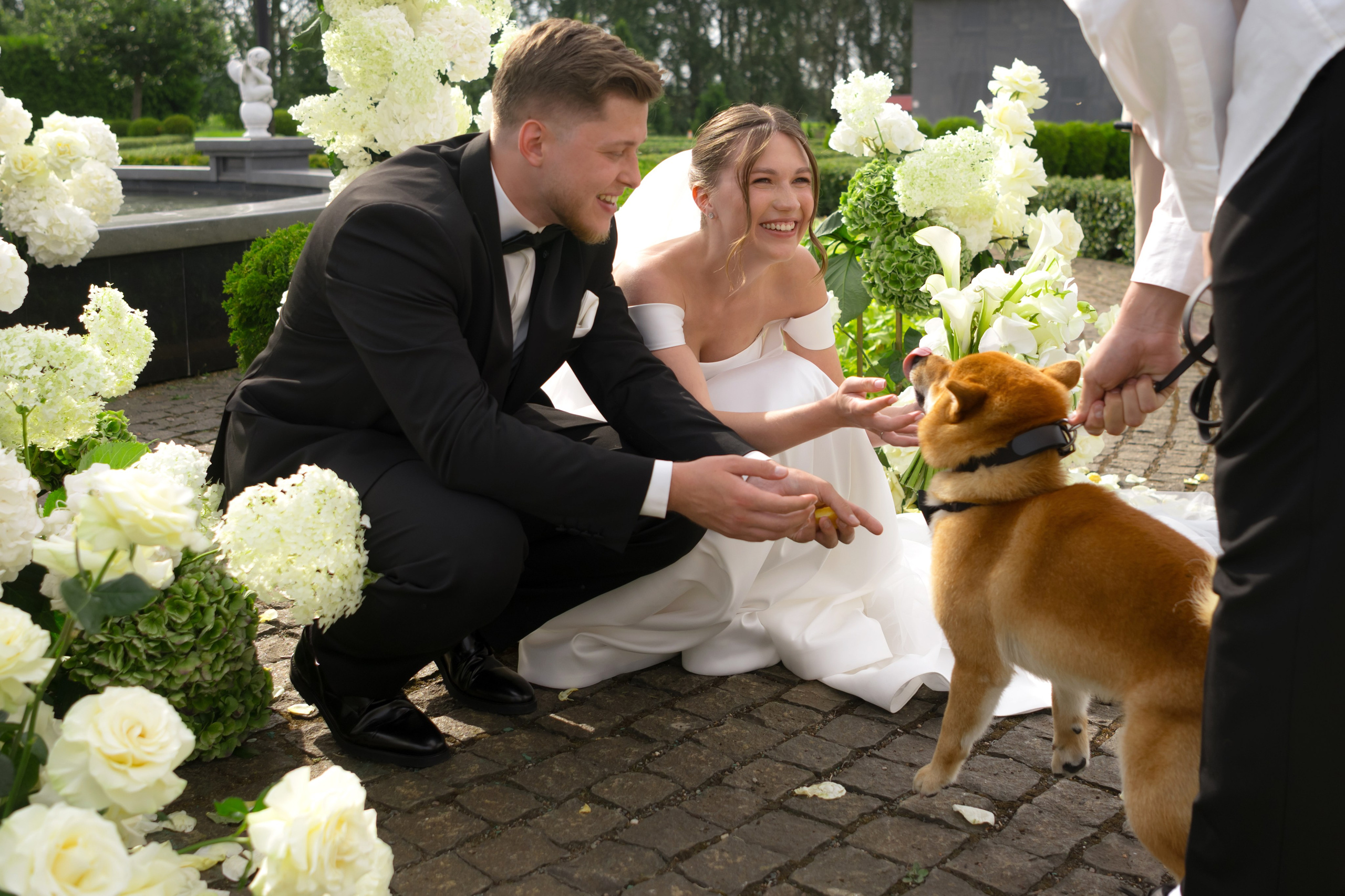 Лиза & Антон. Свадебный фотограф в Минске