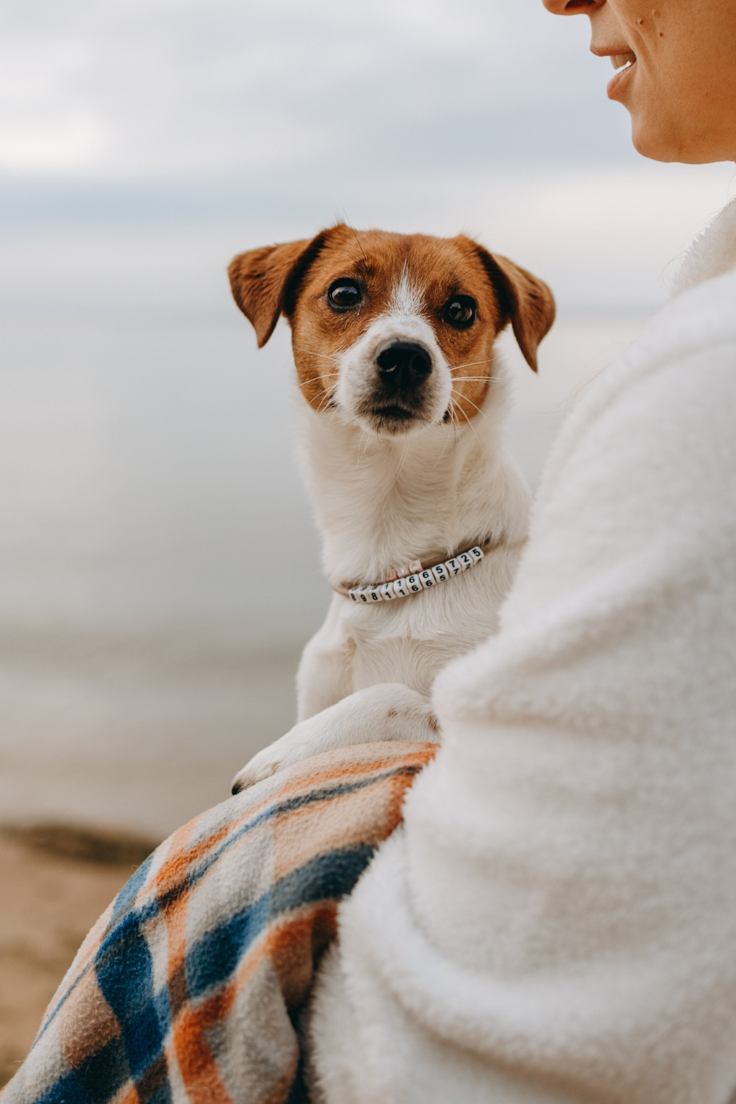 Лея и ее семья. Фотограф — Анималист | Санкт-Петербург