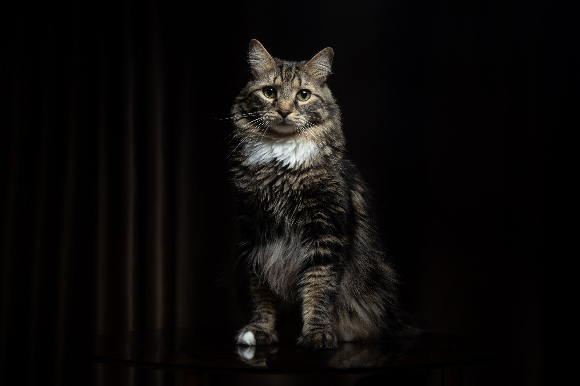 Лека и Дар. Свадебный и репортажный фотограф в Москве и Московской области