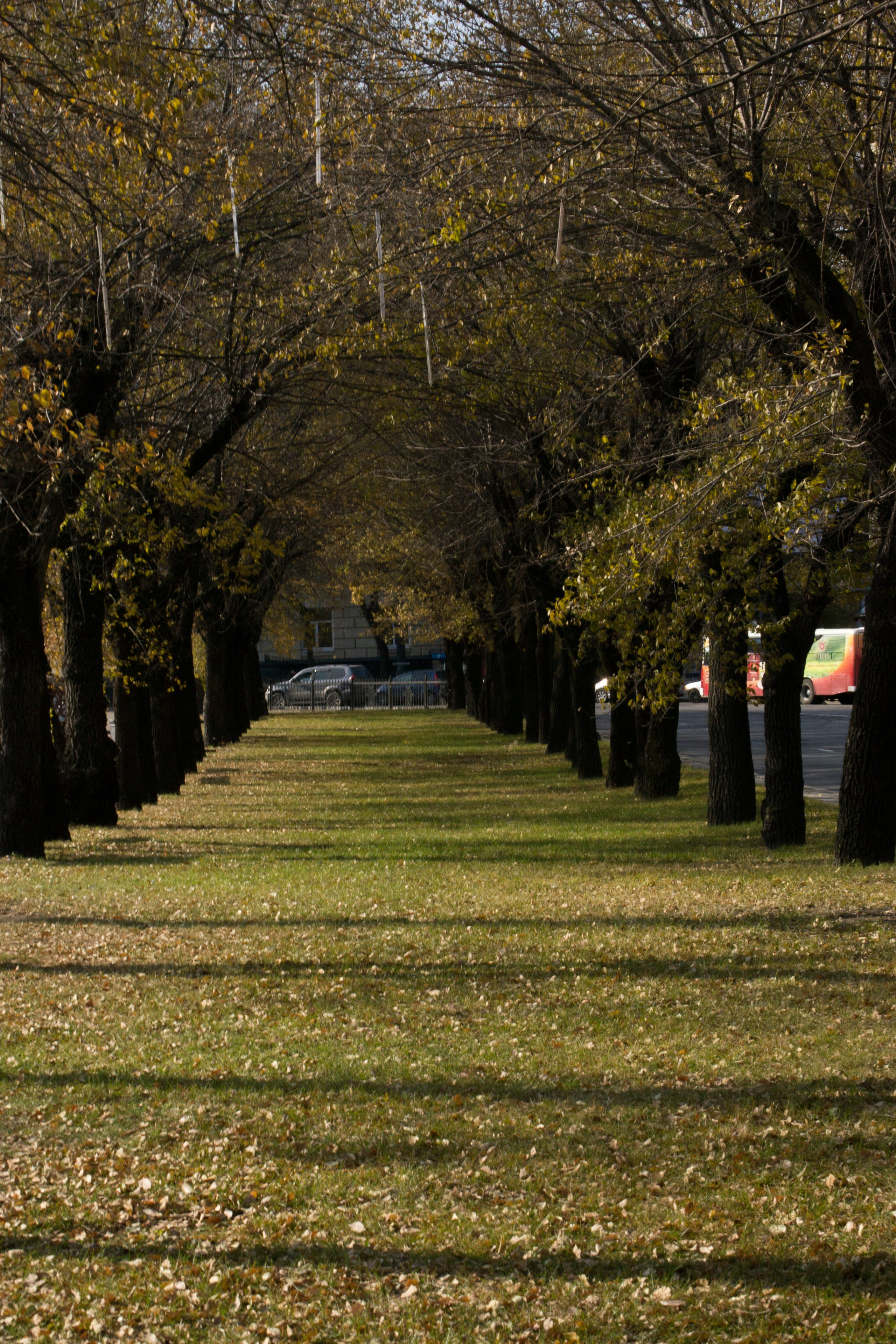 дачи, город, архитектура, стрит, репортажная фотография, фотография, Хабаровск, фотосессия, фотограф, дом, новостройка, улицы, жизнь города, town, art, photo, photographer, photo, Khabarovsk, Far East, street photo