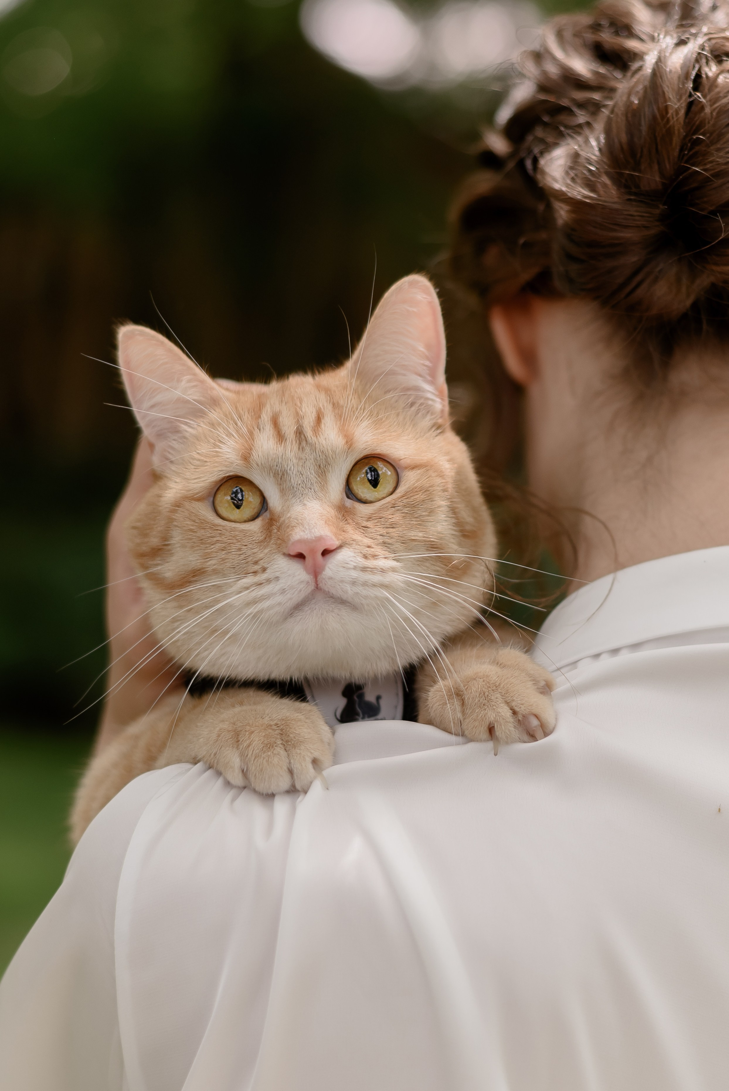Лето, кроксы и котики. Backpackweddings фотограф и видеограф Ростов-на-Дону Сочи