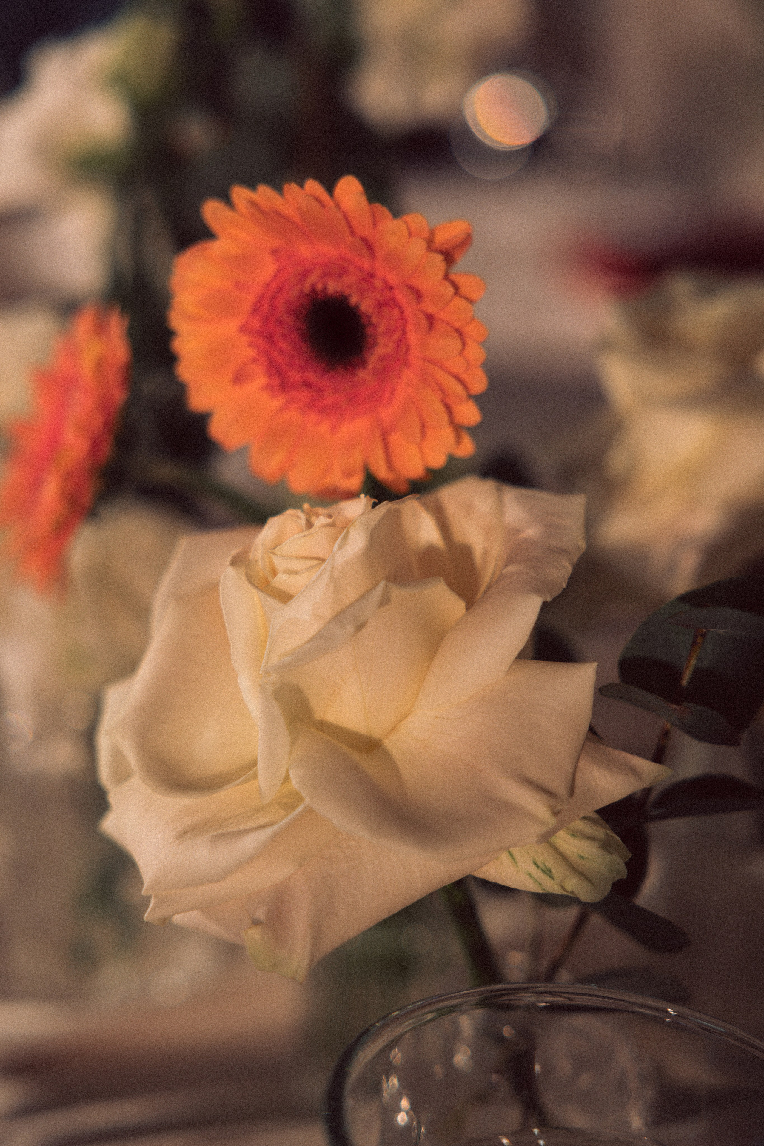 Свадьба Игорь и Анна. ФОТОГРАФ ИРИНА ШАМАТАВА