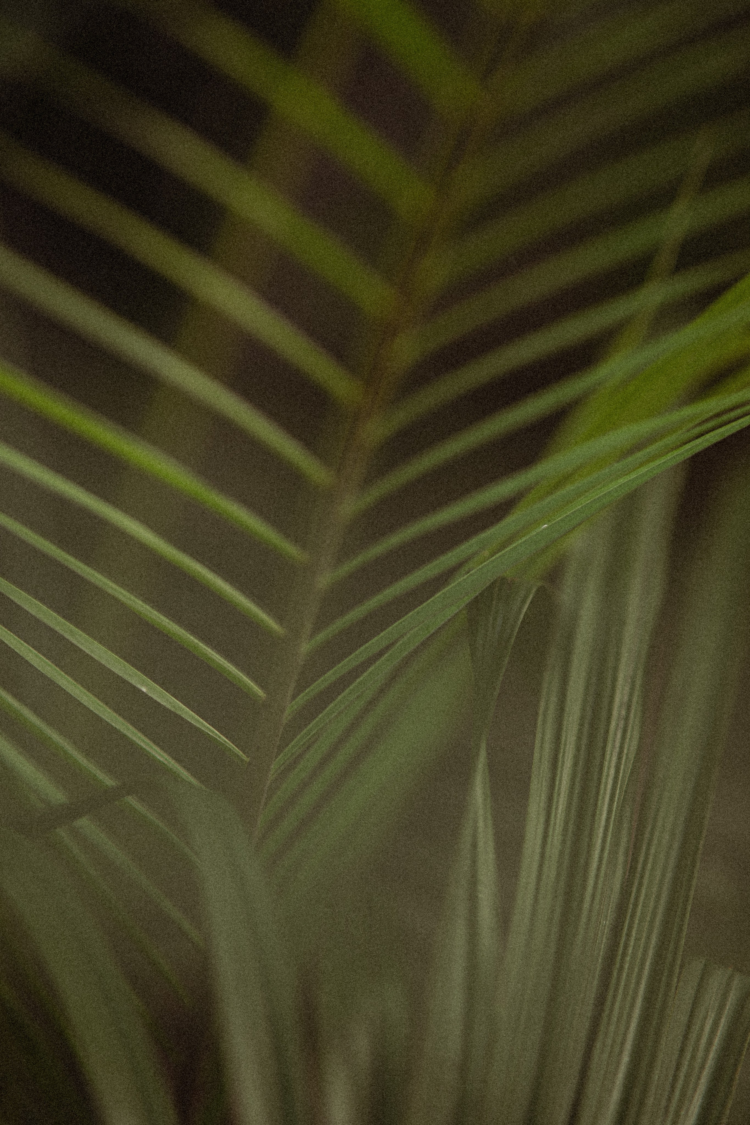 Ботанический сад. Фотограф Мария Зайчик