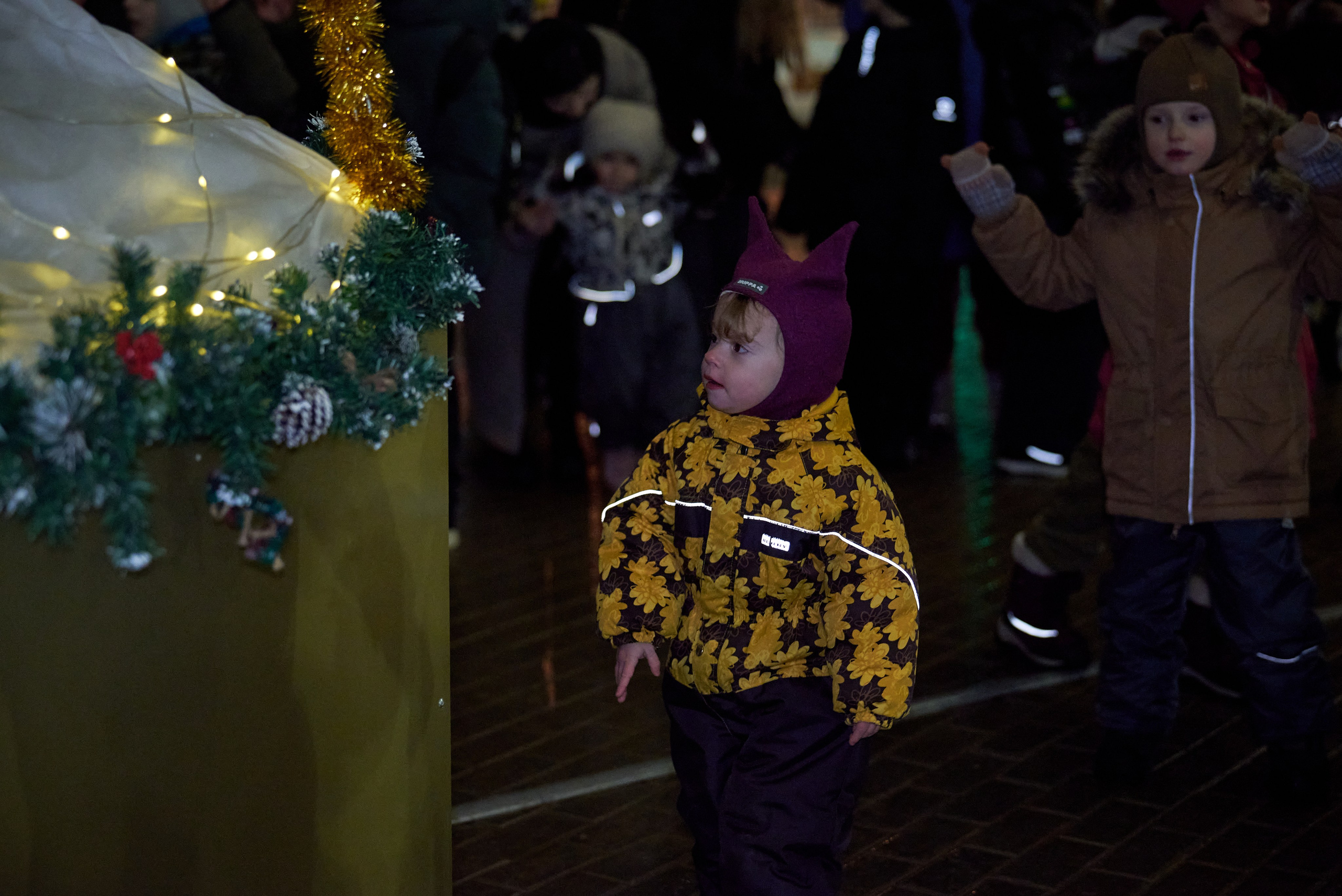 Новый год в Риверхаус. Фотограф Щёлково