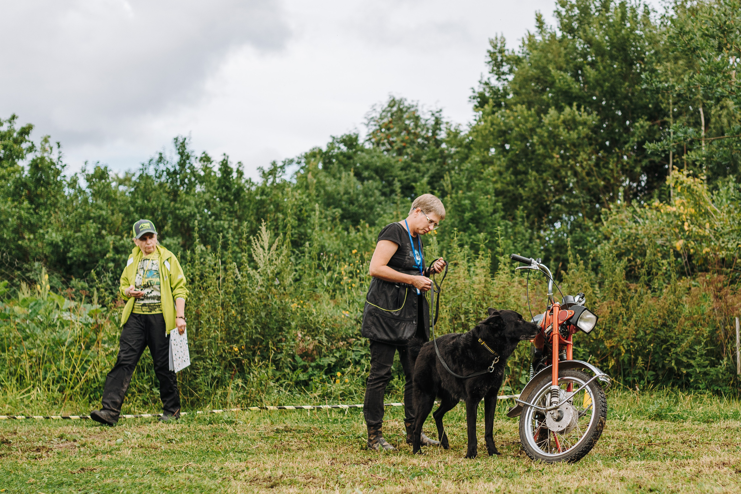Соревнования по ноузворку в Новожилово. Фотограф анималист в Спб недорого Олеся Майорова