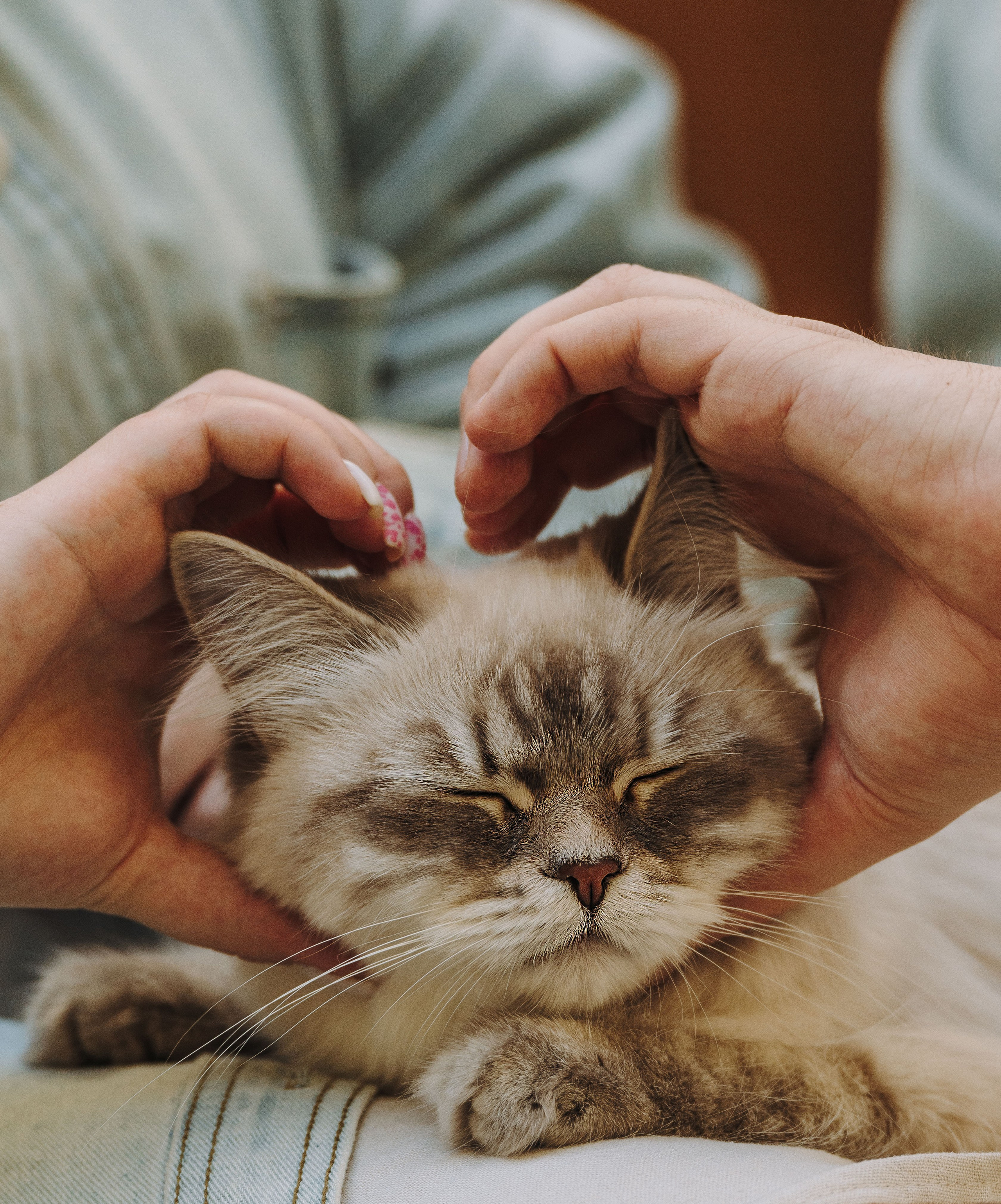 Сильвия, Полина и Никита. Фотограф анималист в Спб недорого Олеся Майорова