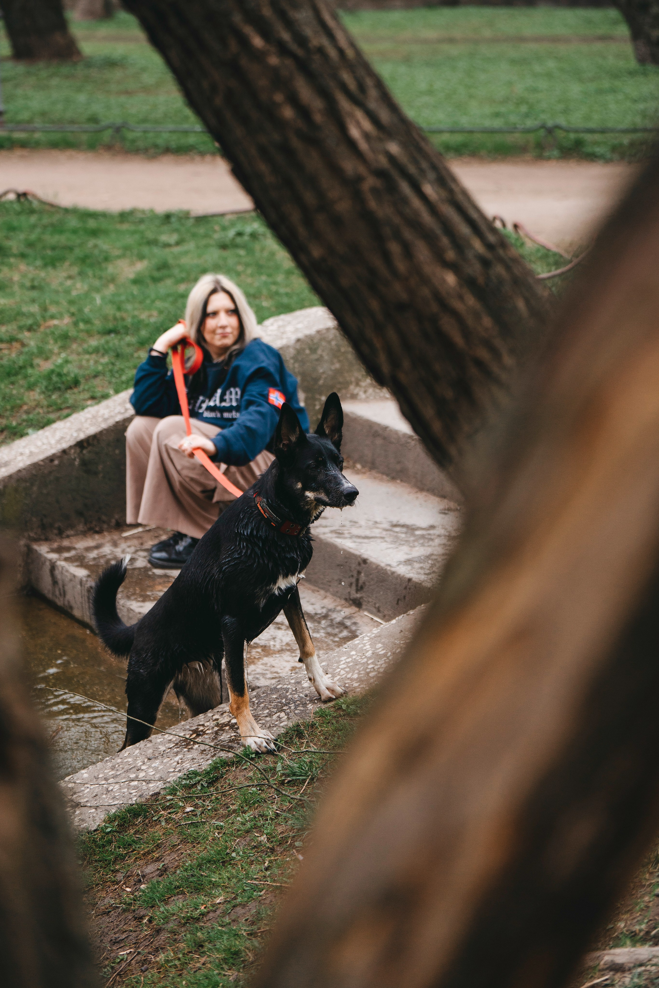 Эля и Шиза. Фотограф анималист в Спб недорого Олеся Майорова